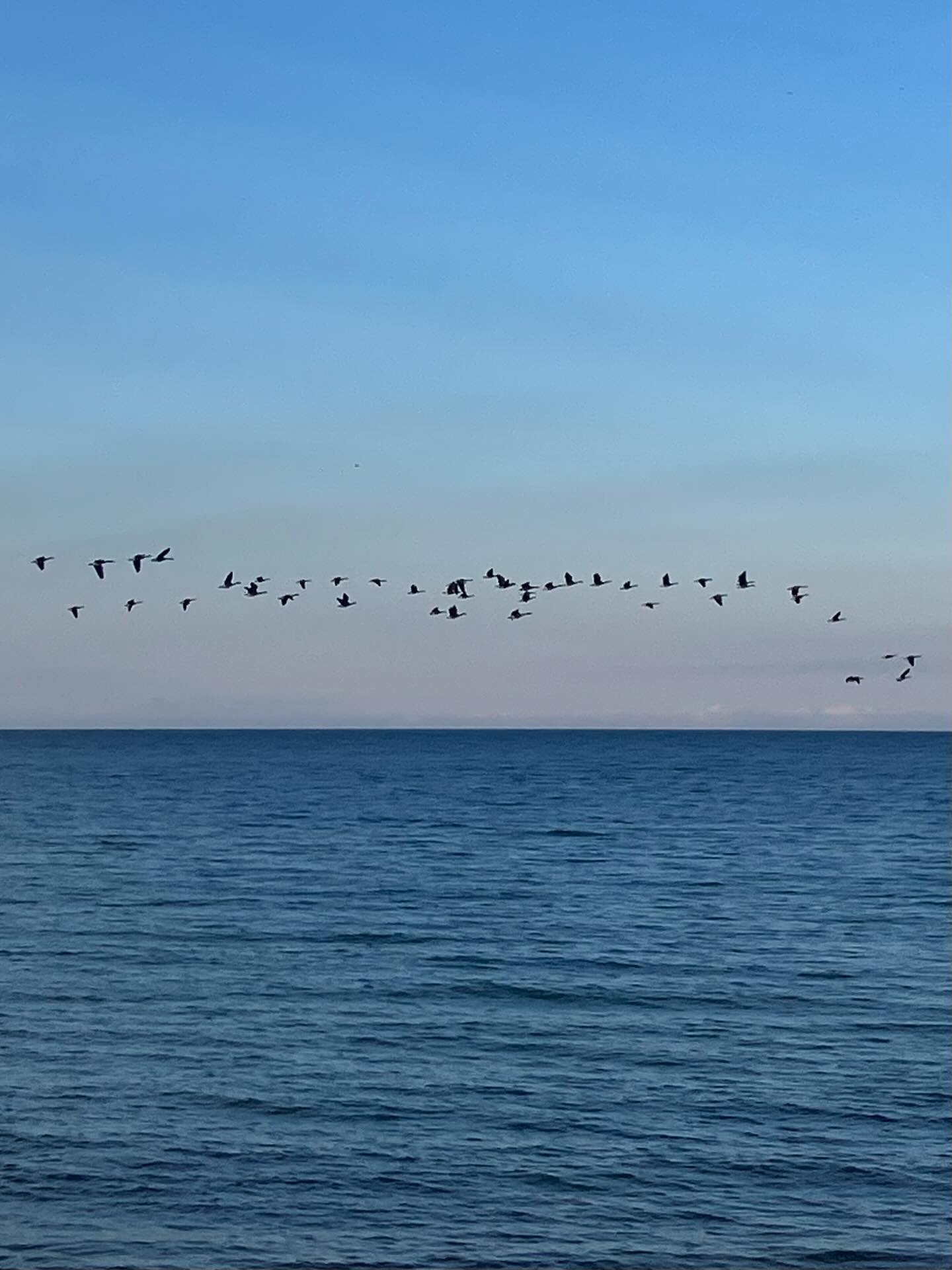 Dag 152 - 17893072437326492.jpg