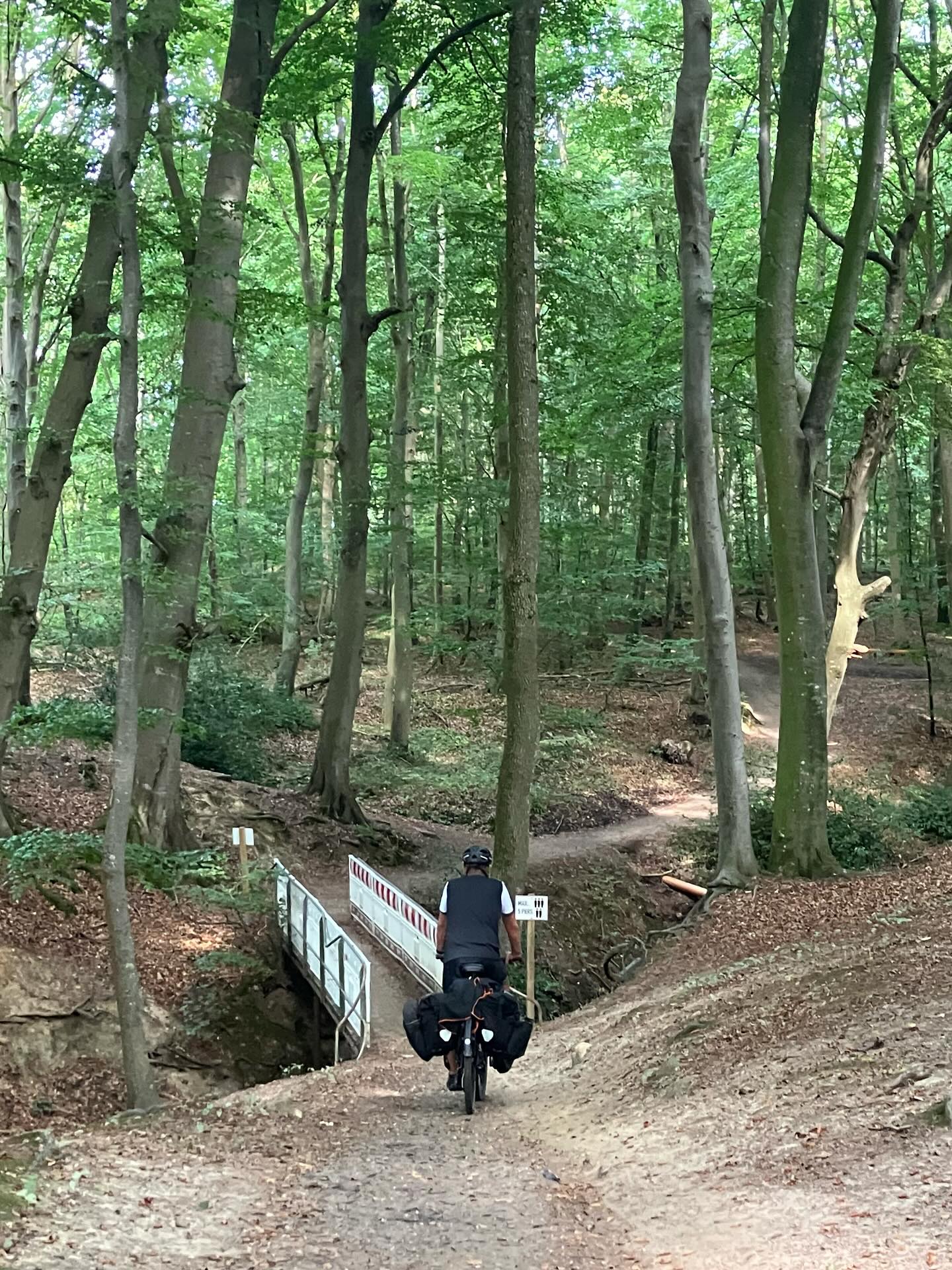 Dag 153 - 17860453155475108.jpg