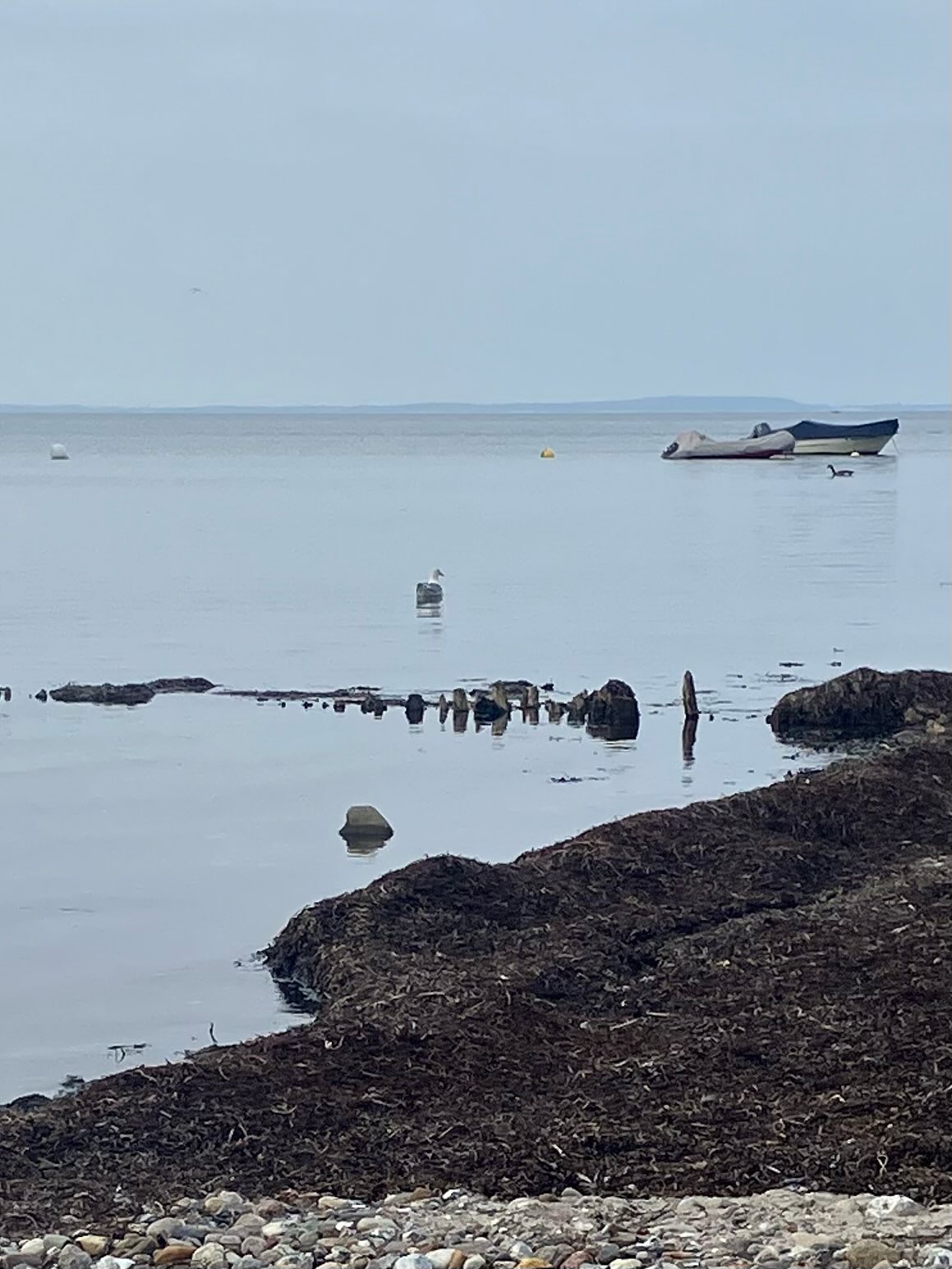 Dag 153 - 17950401332886404.jpg