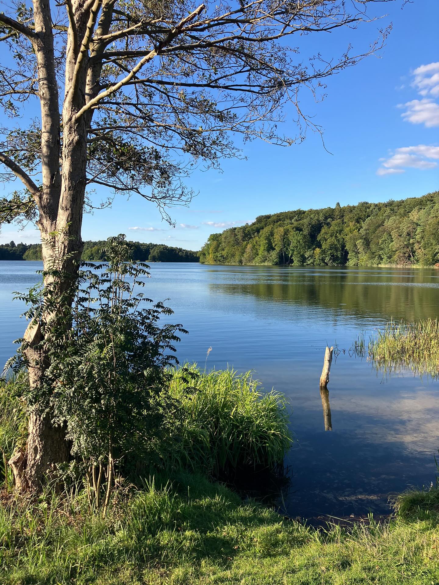 Dag 153 - 18064403153348851.jpg