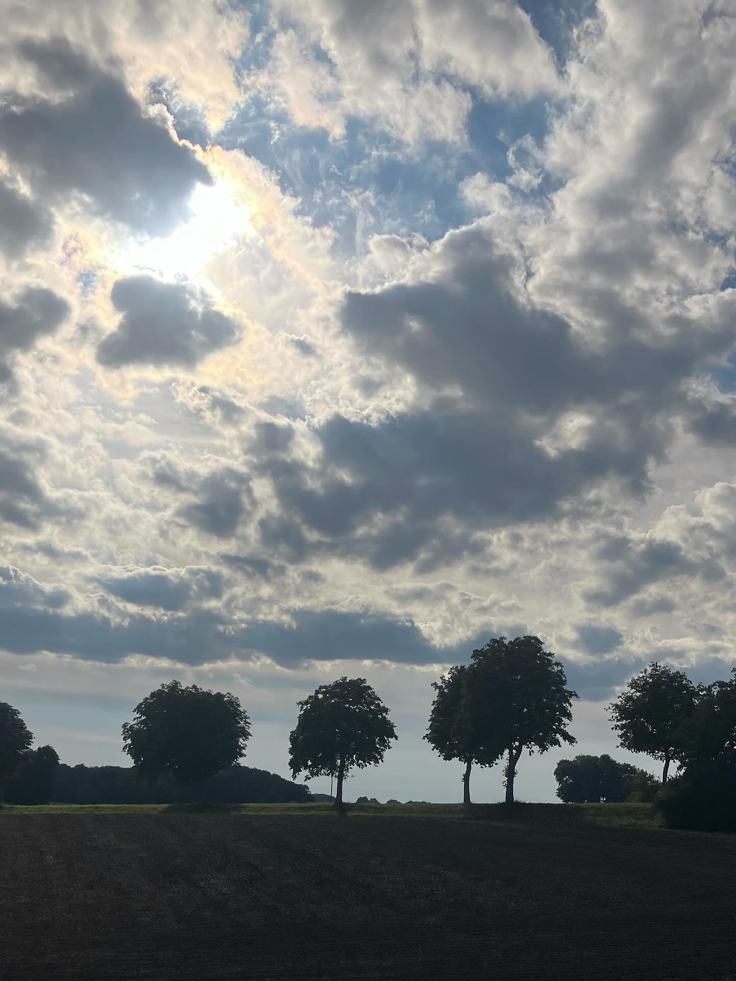 Dag 154 - 18077150386820454.jpg