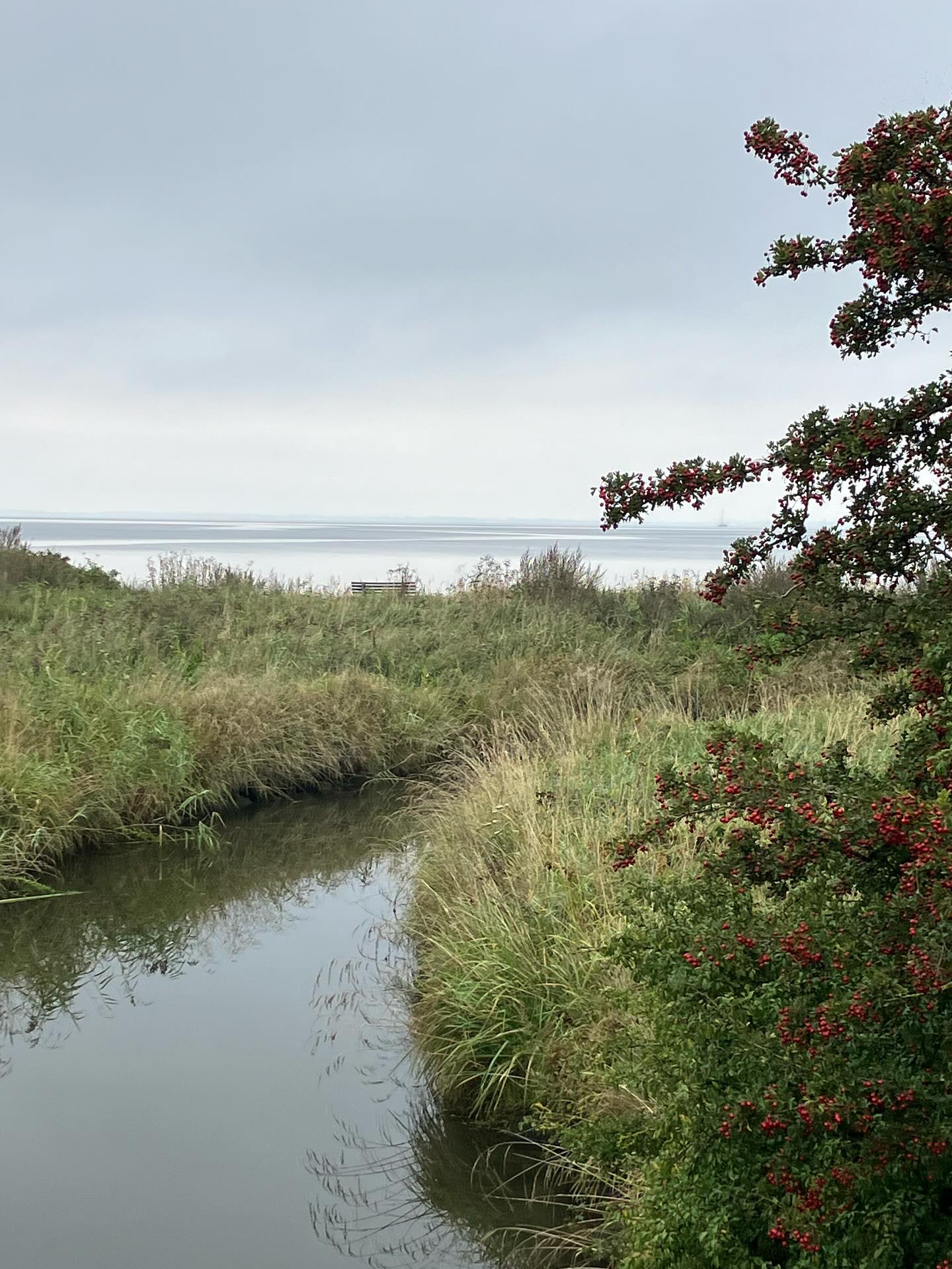 Dag 154 - 18087895687884552.jpg