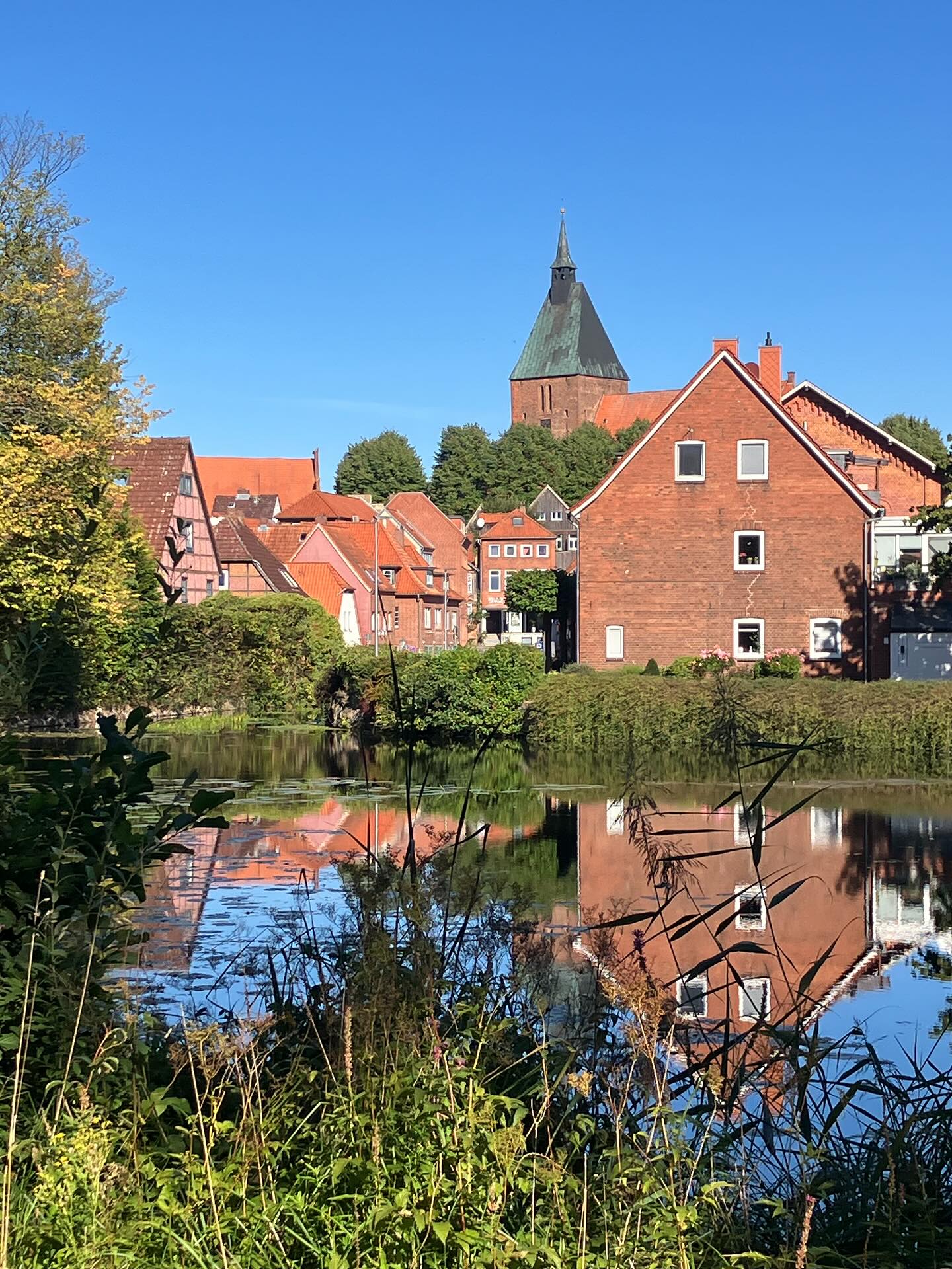 Dag 154 - 18137949871437768.jpg