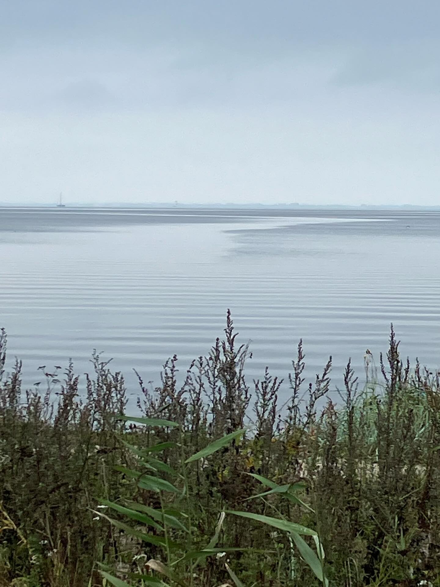 Dag 154 - 18169584007321433.jpg