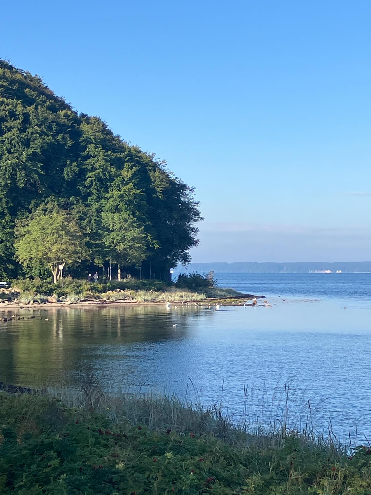 Dag 155 - 18075562466513803.jpg