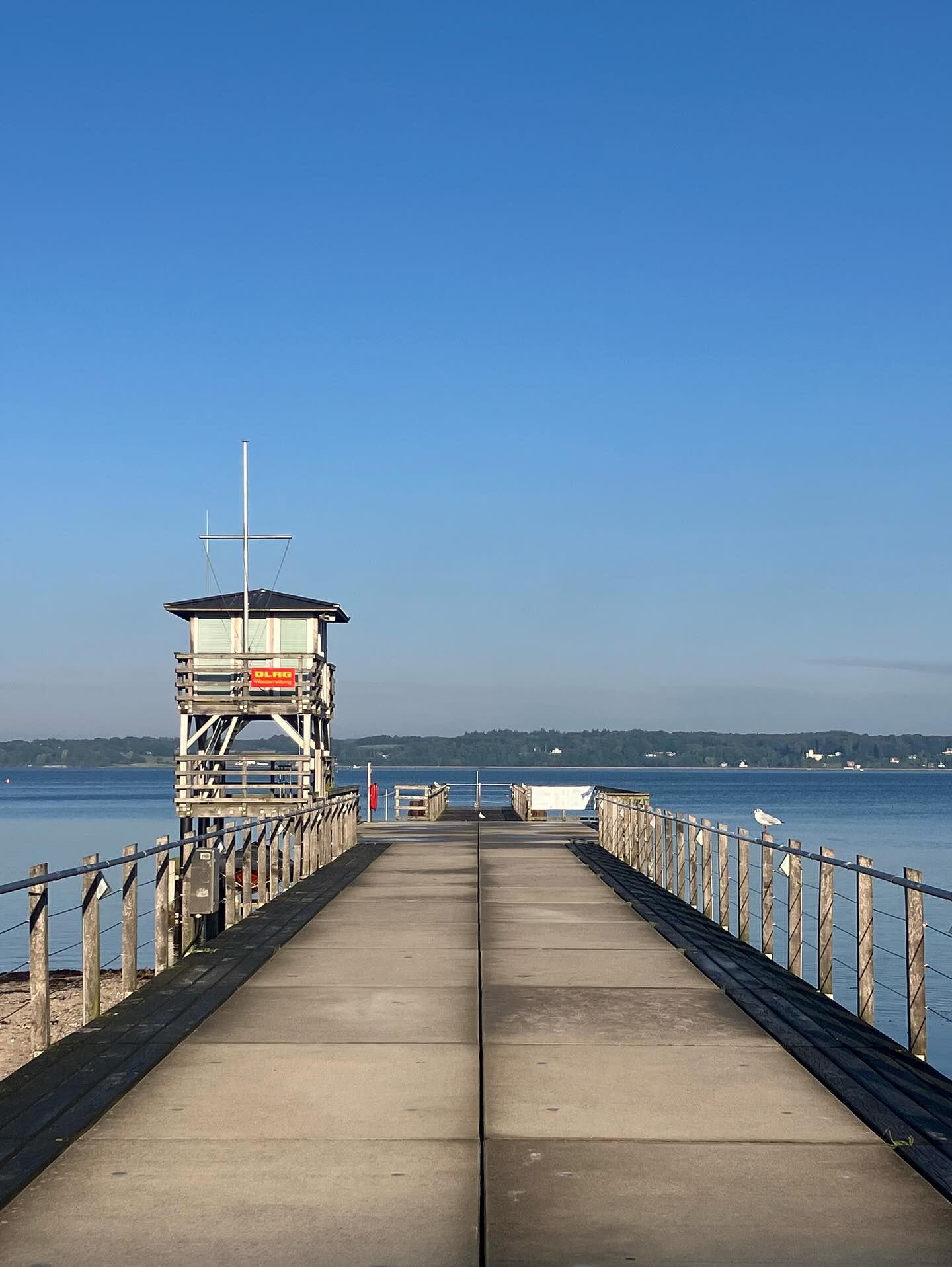 Dag 155 - 18303722542218547.jpg