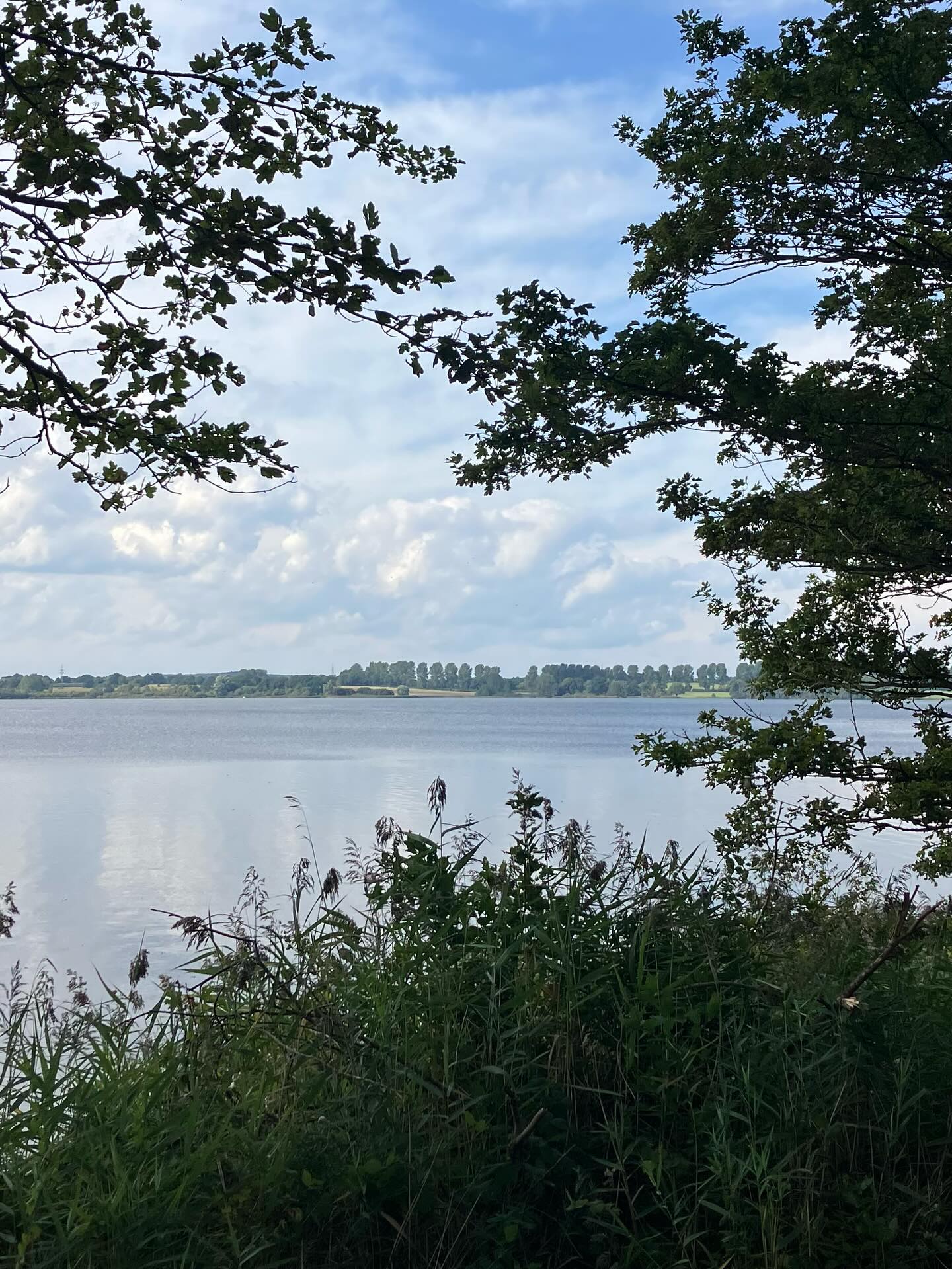 Dag 155 - 18355639792085449.jpg