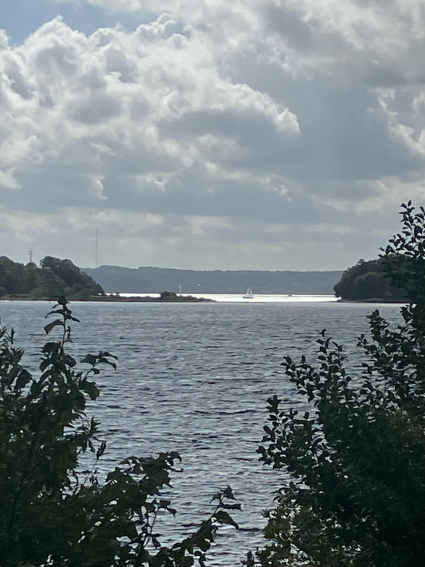 Dag 156 - 17924083560076250.jpg