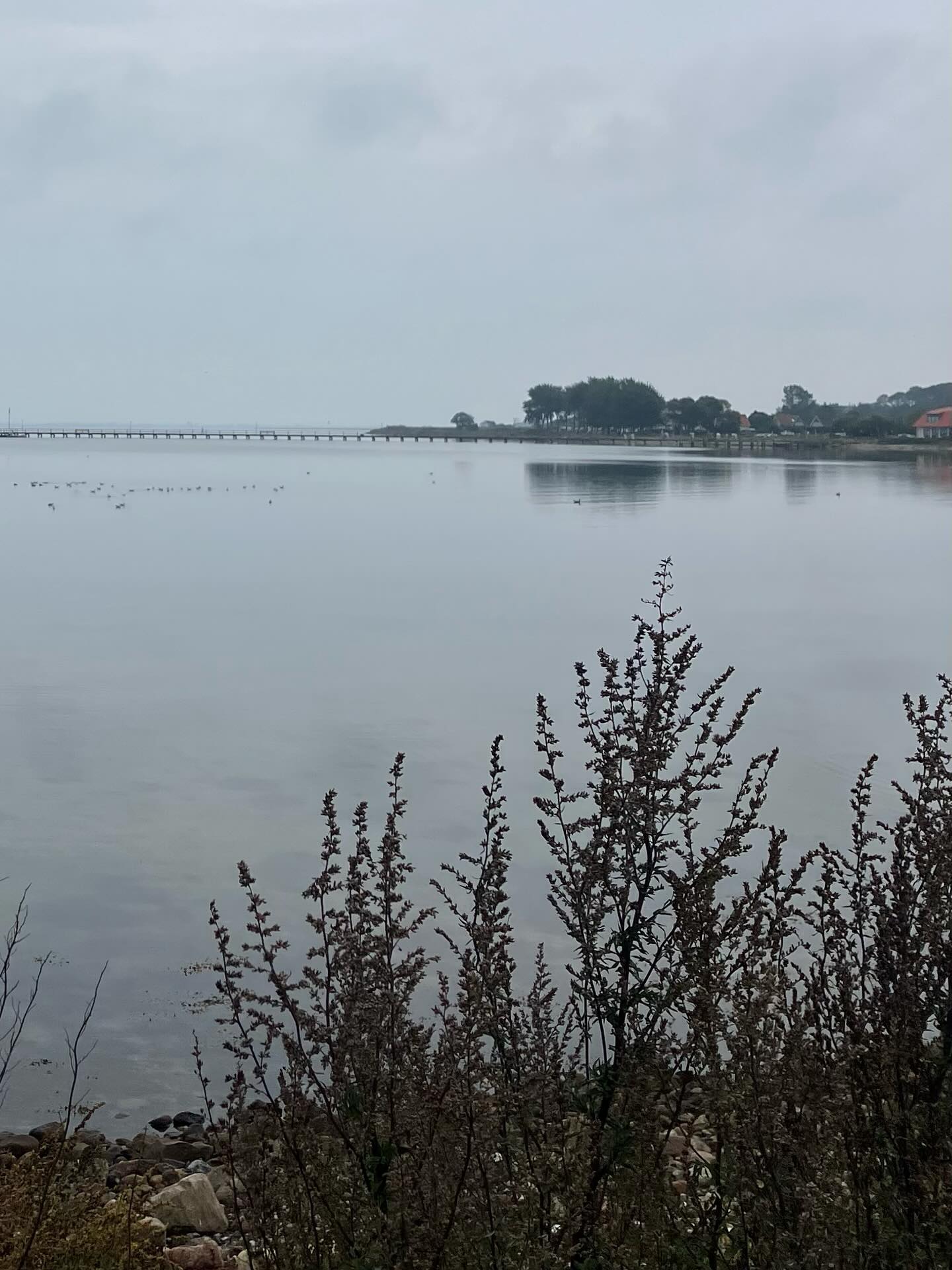 Dag 156 - 17971532549786592.jpg