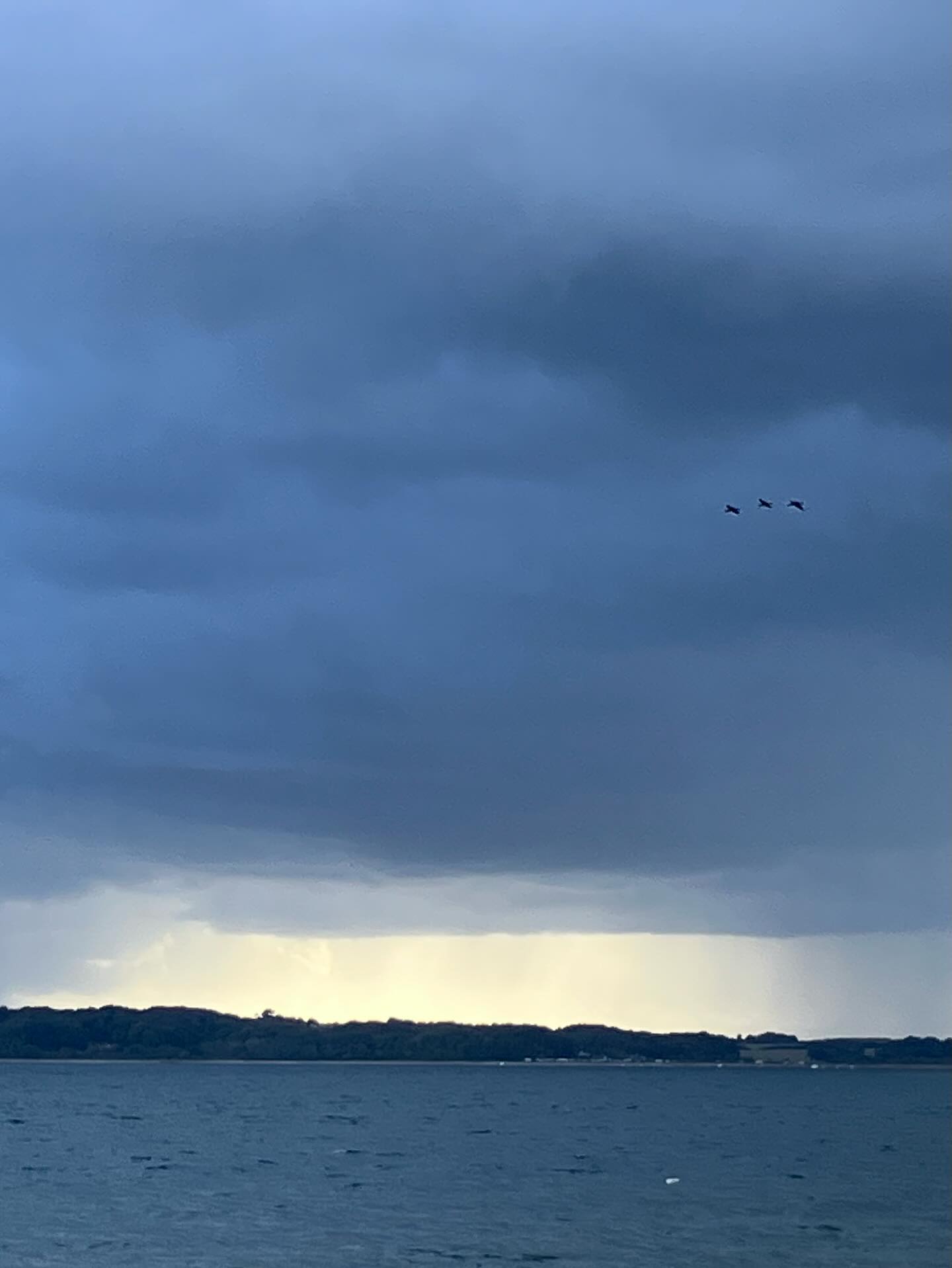 Dag 156 - 18095997616644088.jpg