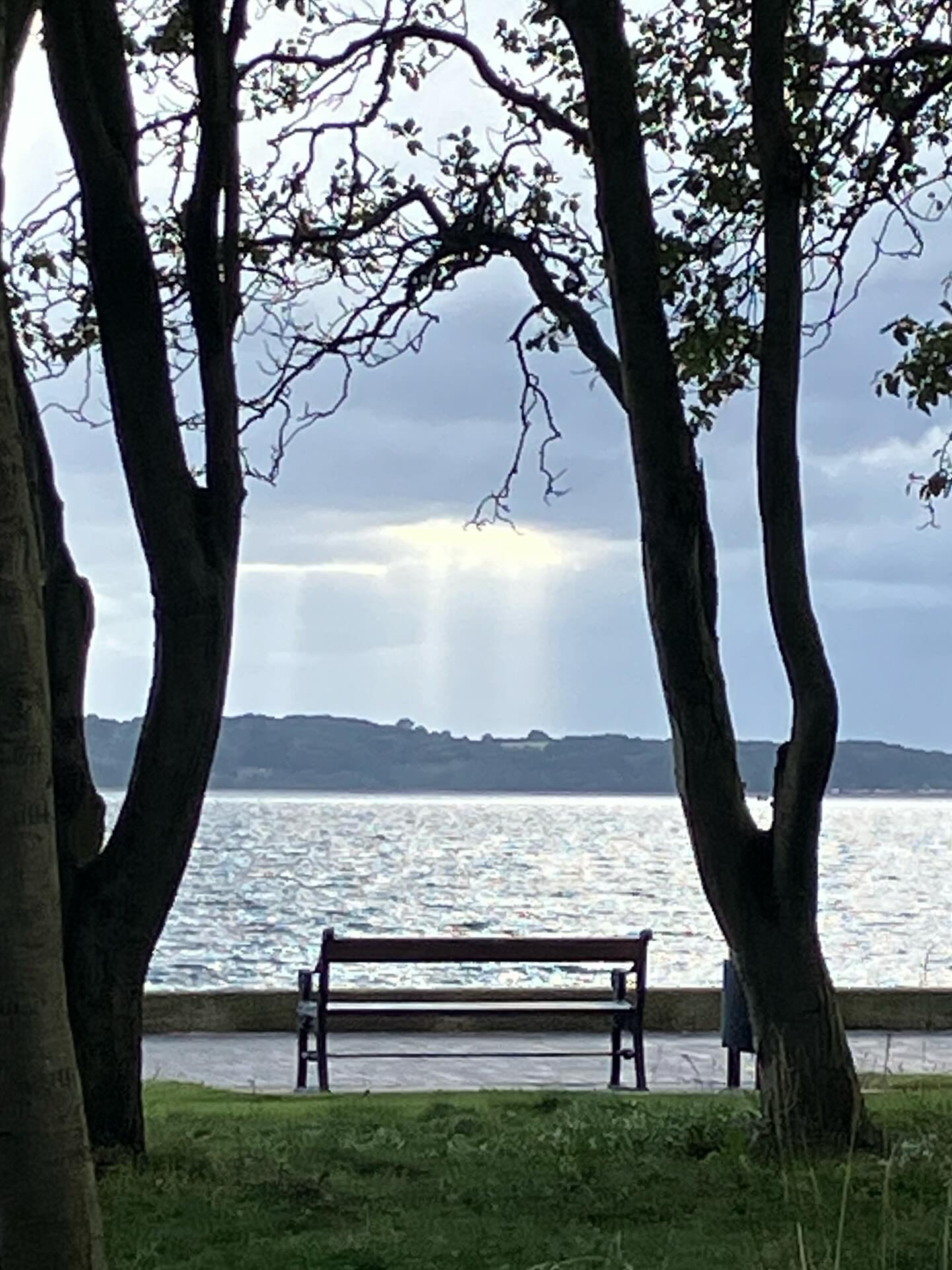 Dag 156 - 18223129819305945.jpg