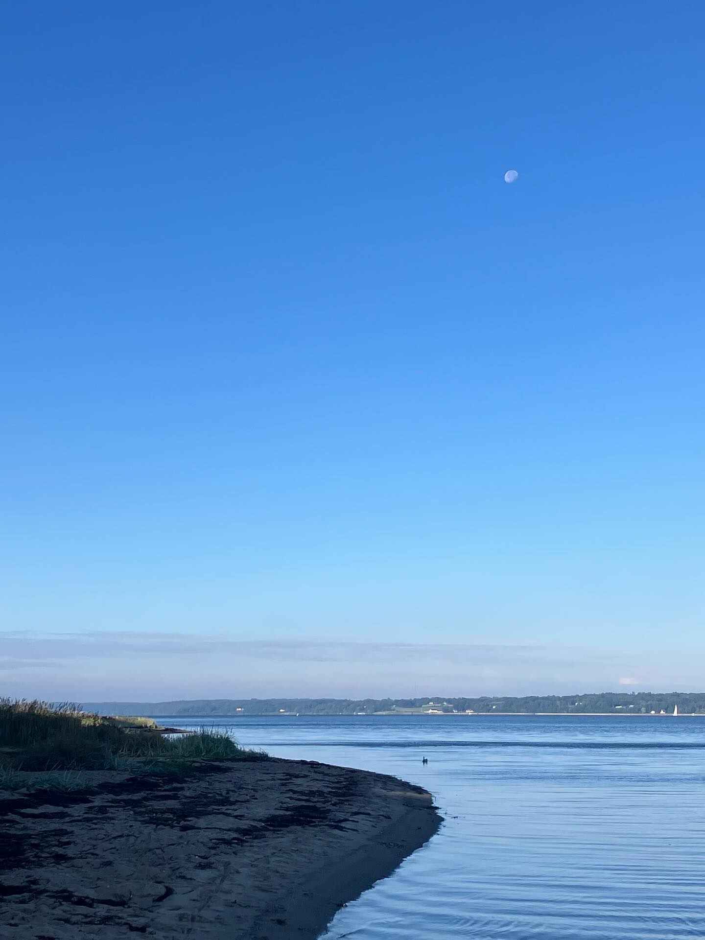 Dag 157 - 17938531646943157.jpg