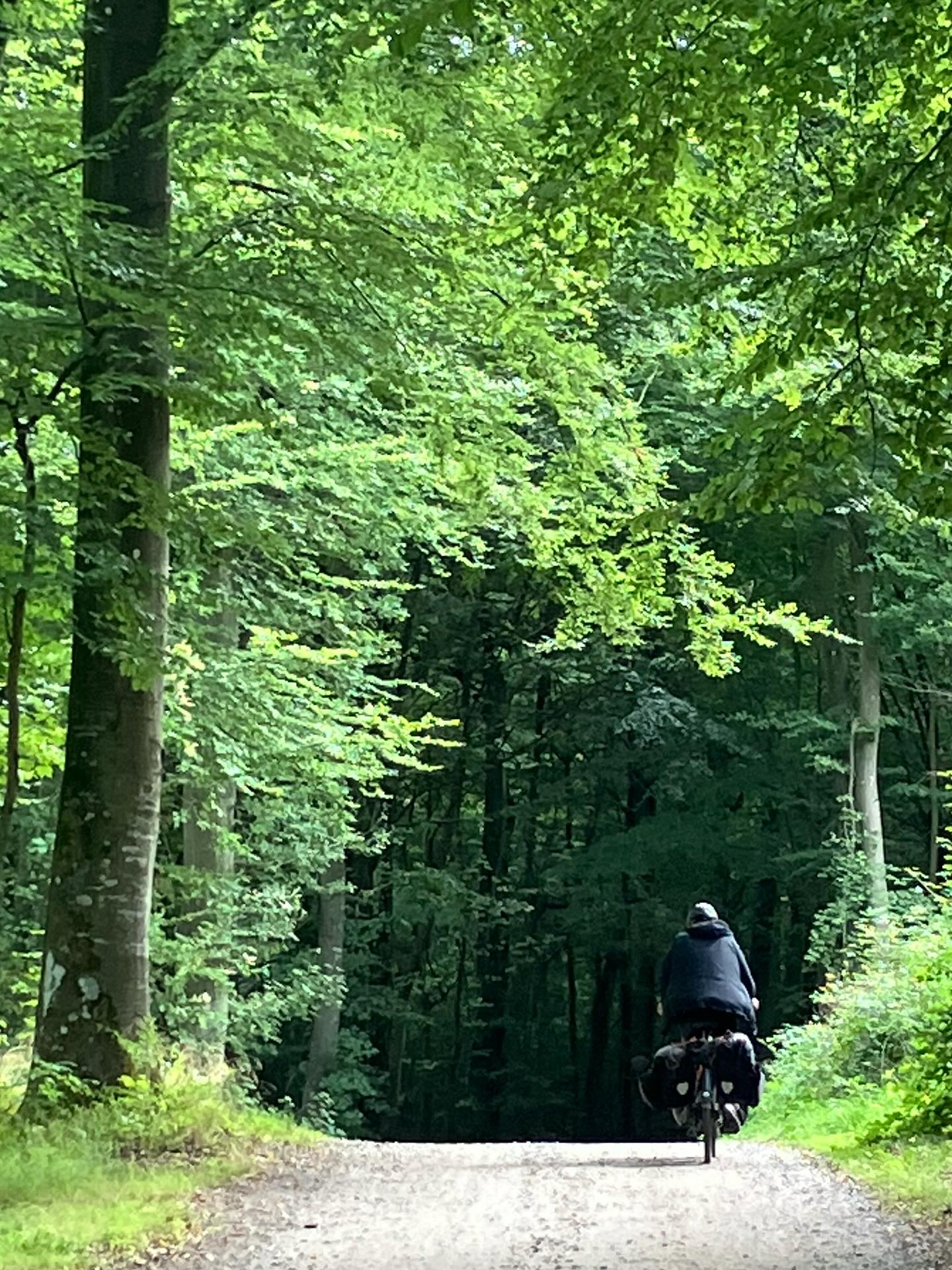 Dag 159 - 18387627679127929.jpg