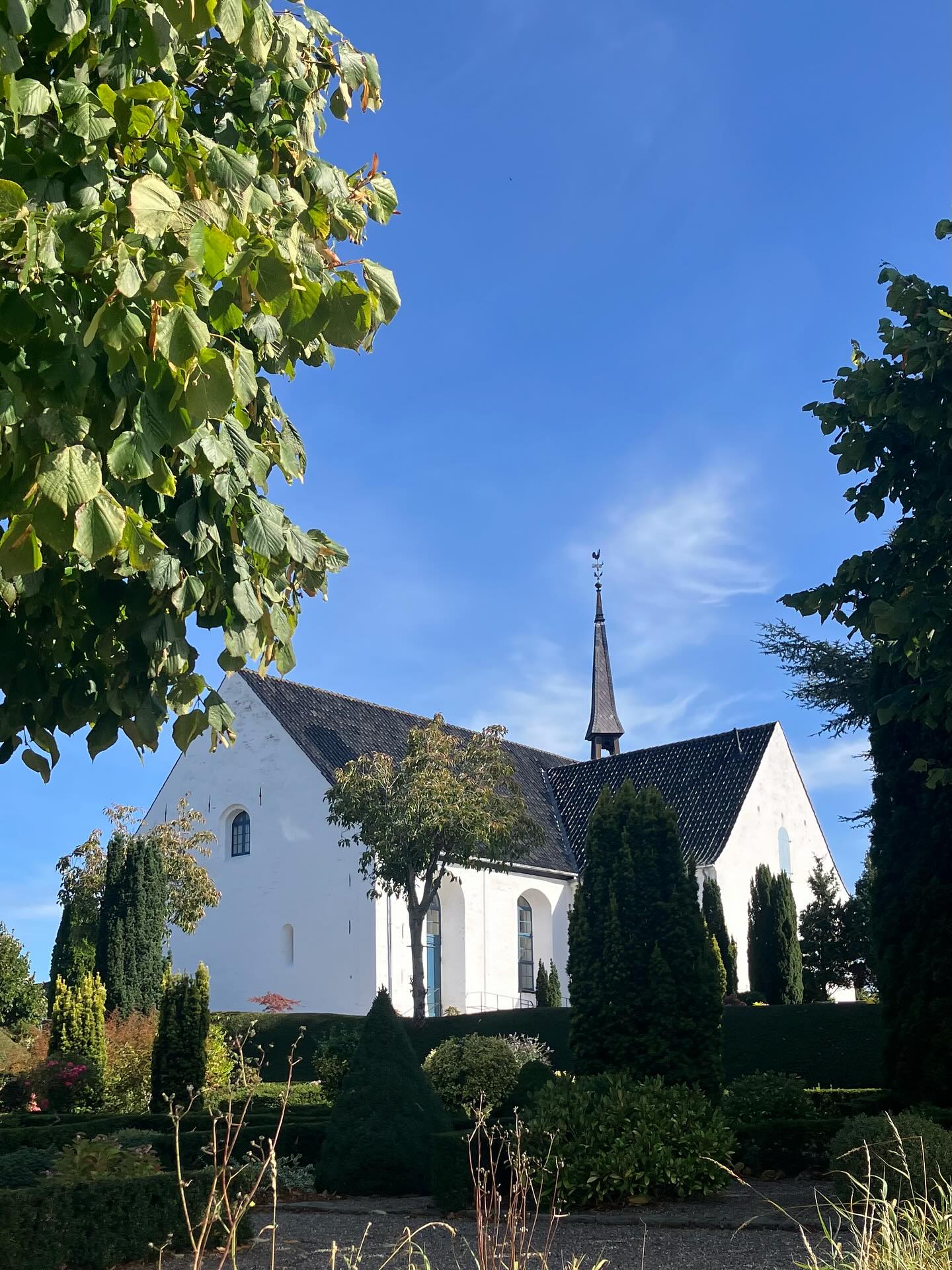 Dag 159 - 18523866223056596.jpg