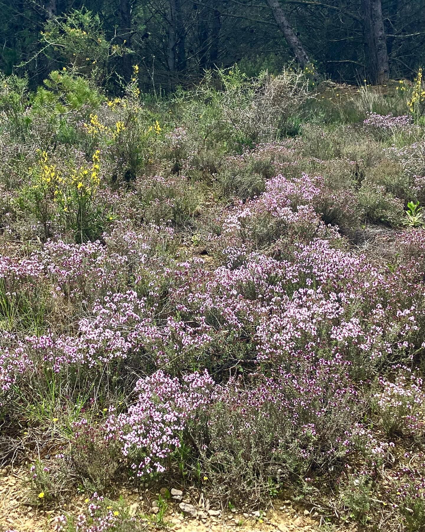 Dag 16 - 17953342169801874.jpg