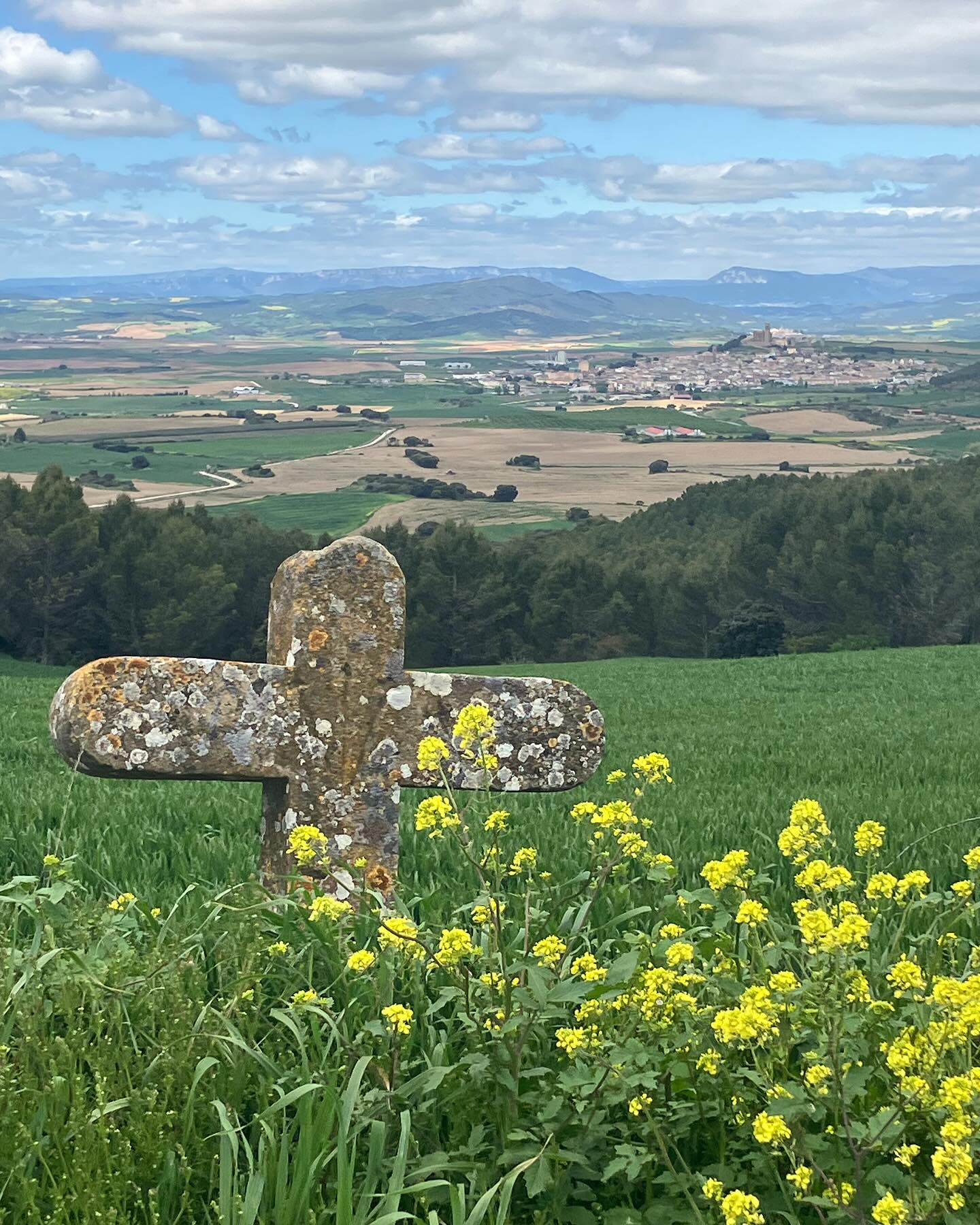 Dag 16 - 18055404599233398.jpg