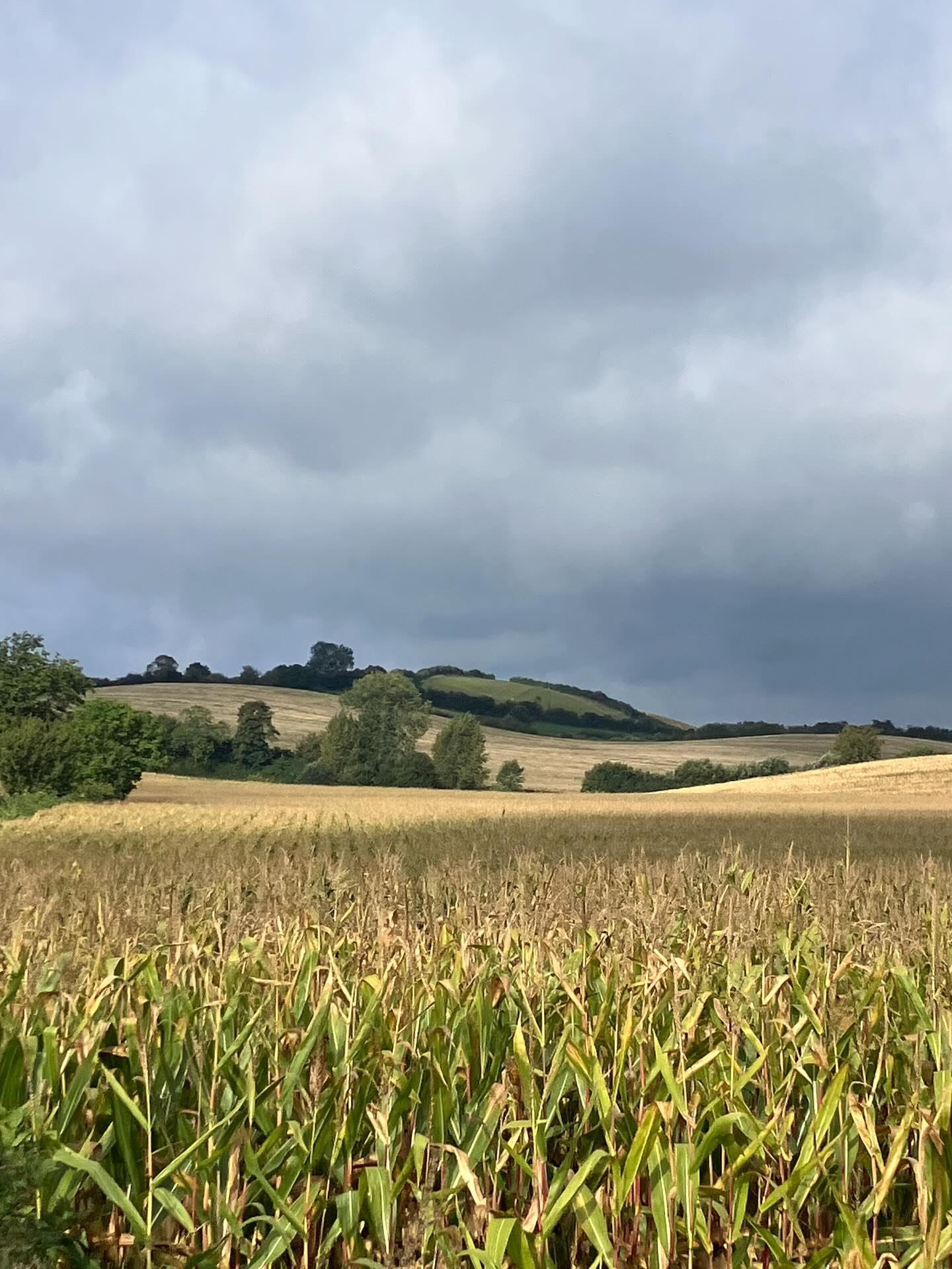 Dag 160 - 17884130556371262.jpg