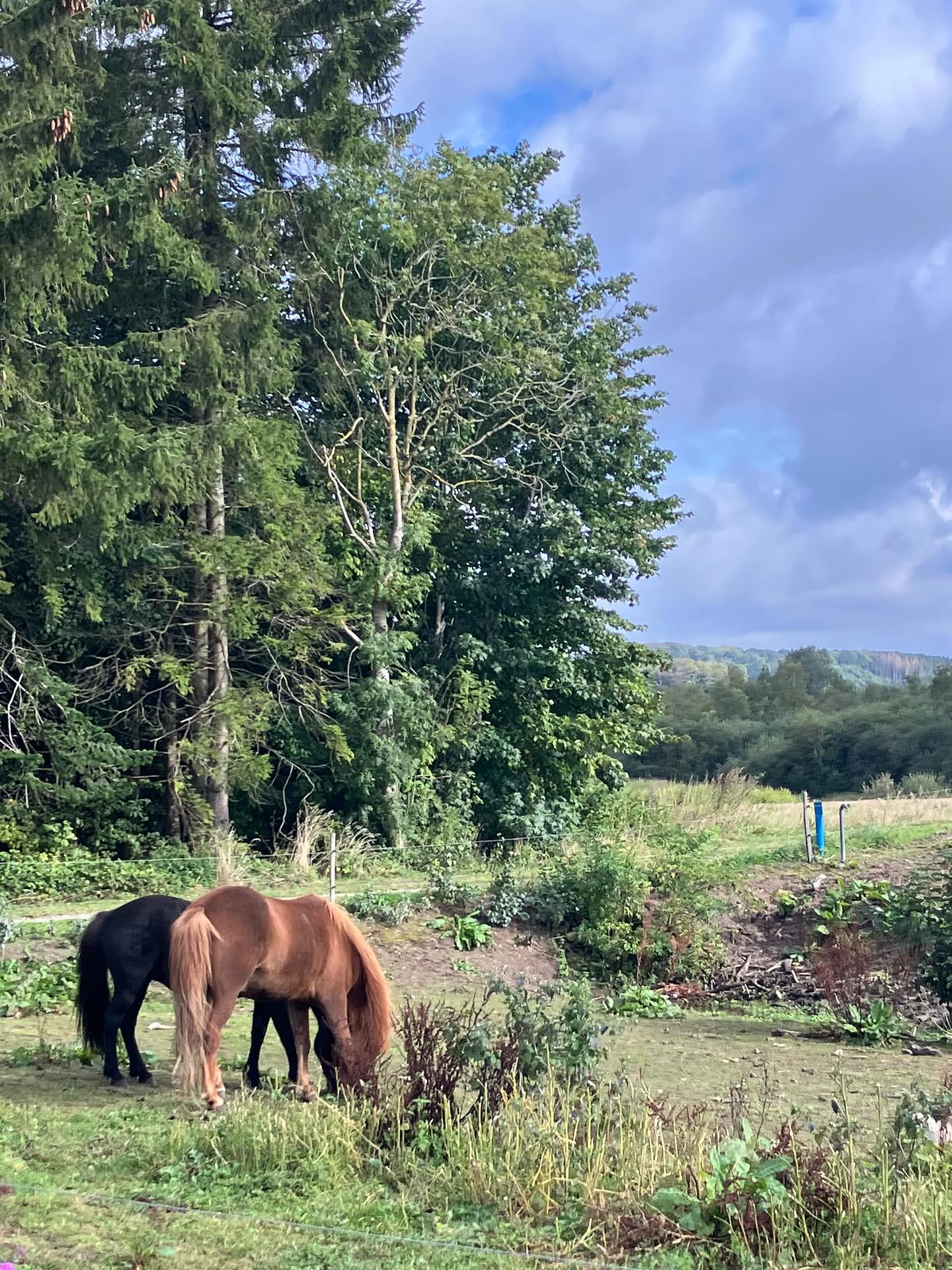 Dag 160 - 18054378248530593.jpg