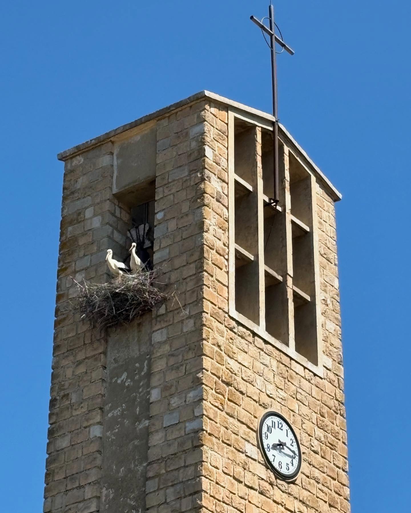 Dag 17 - 18060329615122365.jpg