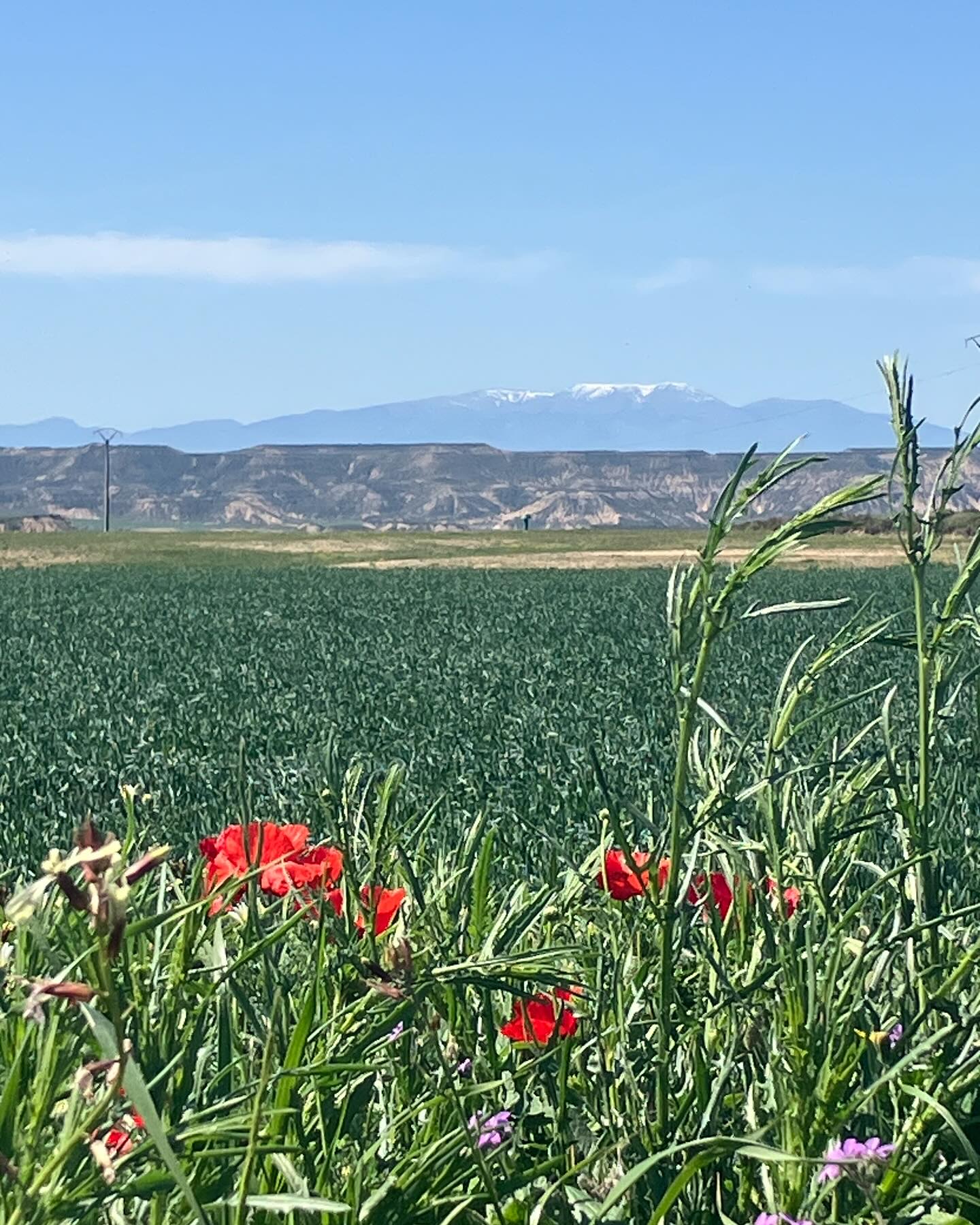 Dag 18 - 18034194383635368.jpg