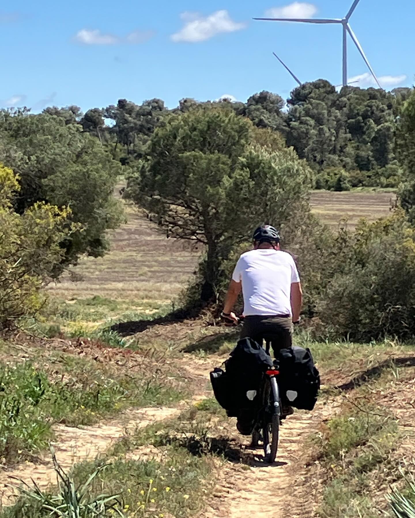 Dag 19 - 17892913422217360.jpg