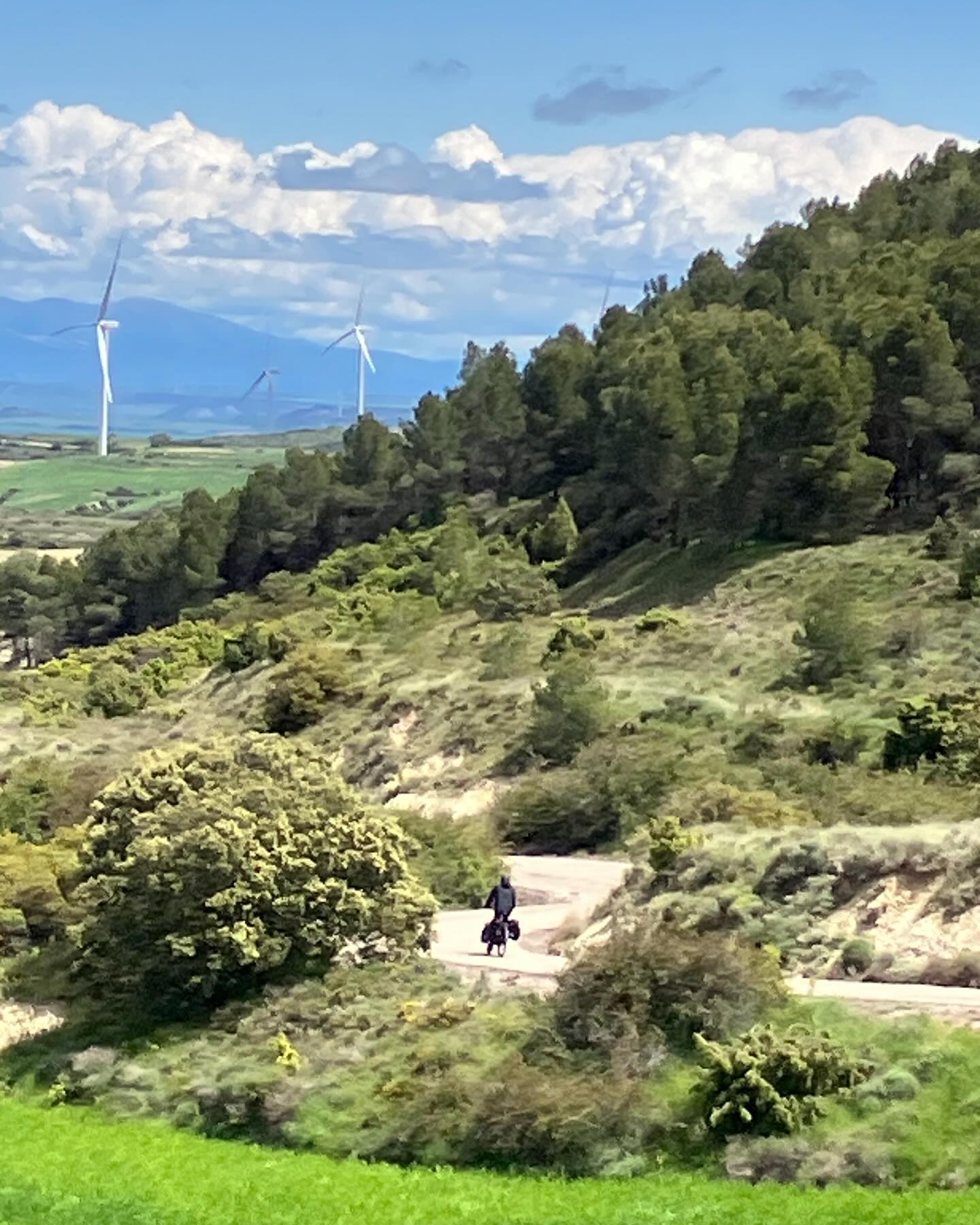 Dag 19 - 17982468218681952.jpg