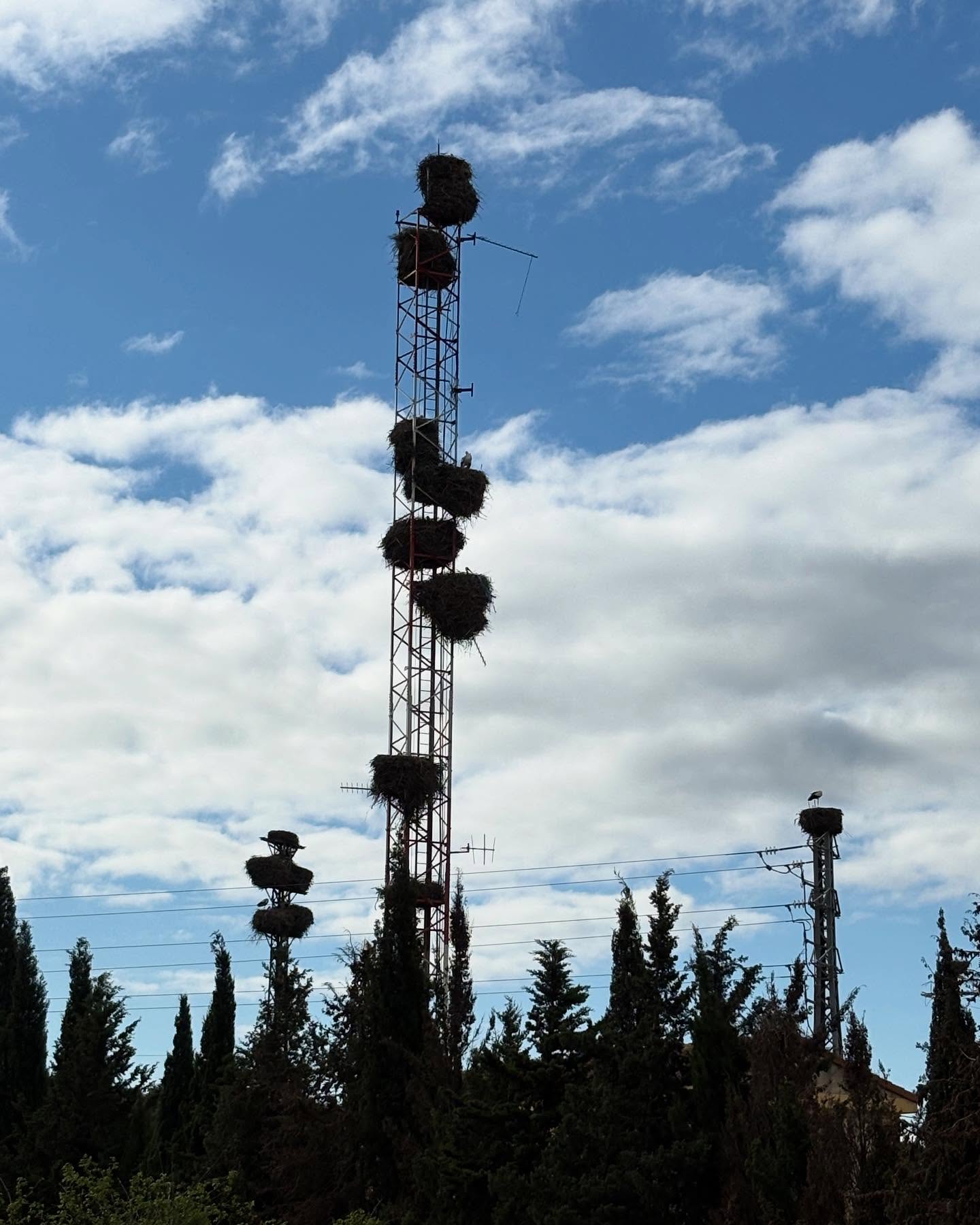 Dag 19 - 18138107020395476.jpg