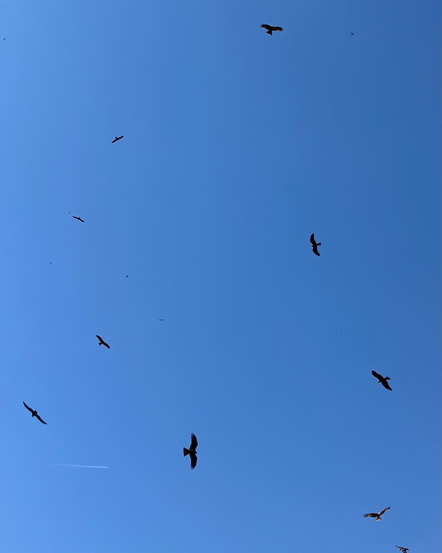 Dag 2 - 18066734170769477.jpg