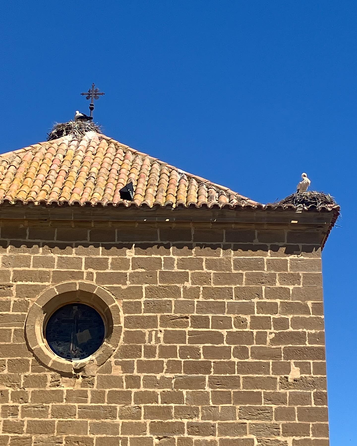 Dag 20 - 18008259917725790.jpg