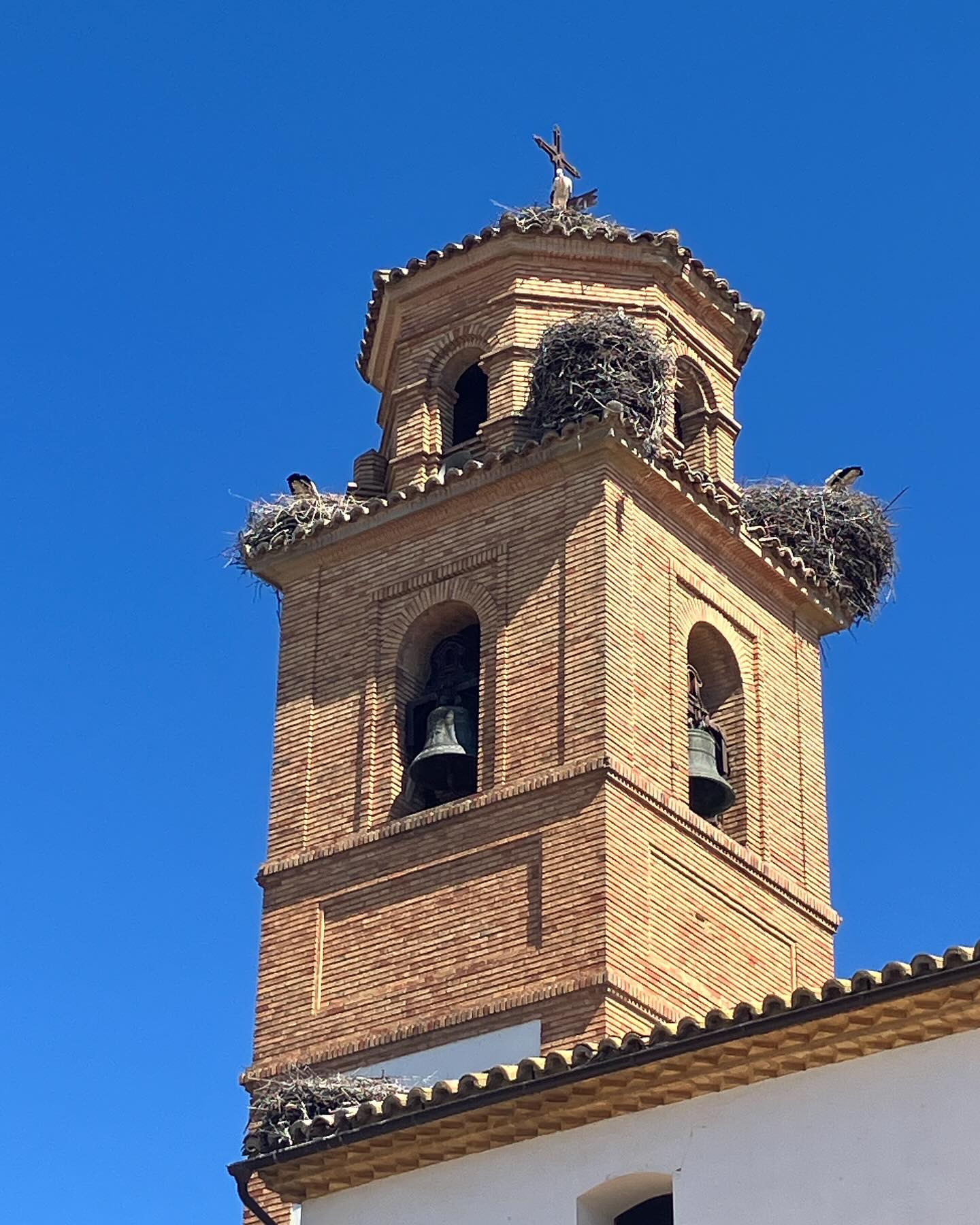 Dag 20 - 18040993388236950.jpg