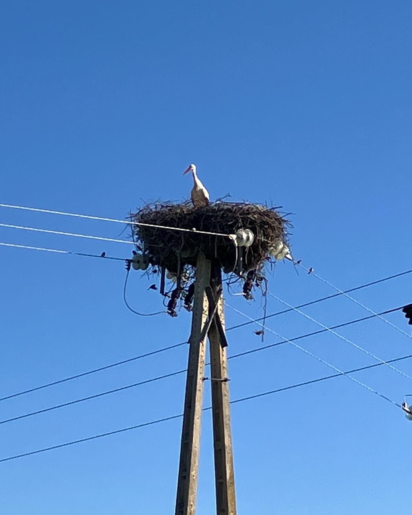 Dag 20 - 18050876495521981.jpg