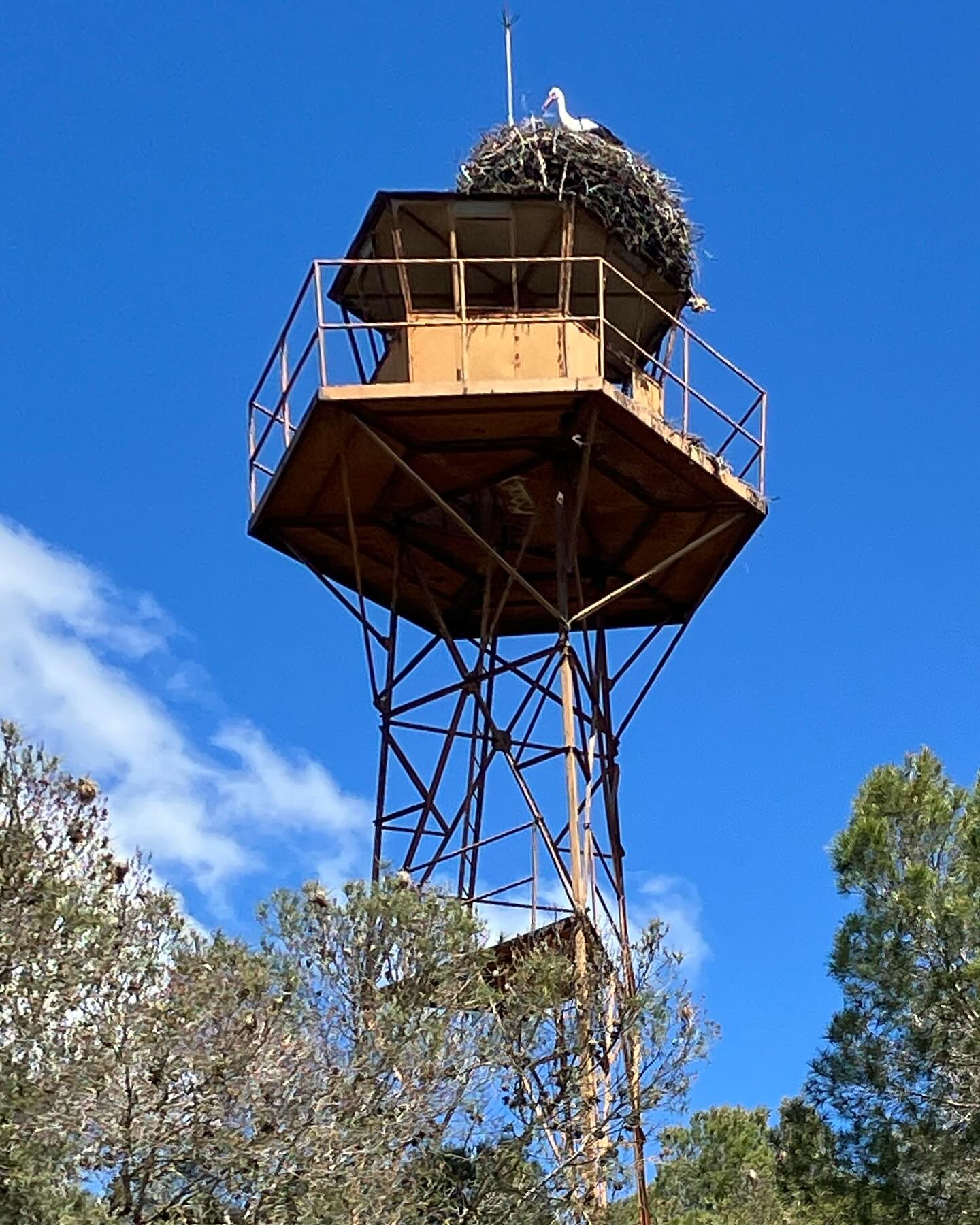 Dag 20 - 18052485173519776.jpg