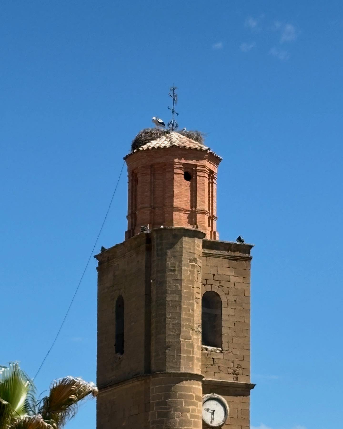 Dag 20 - 18502633996027946.jpg