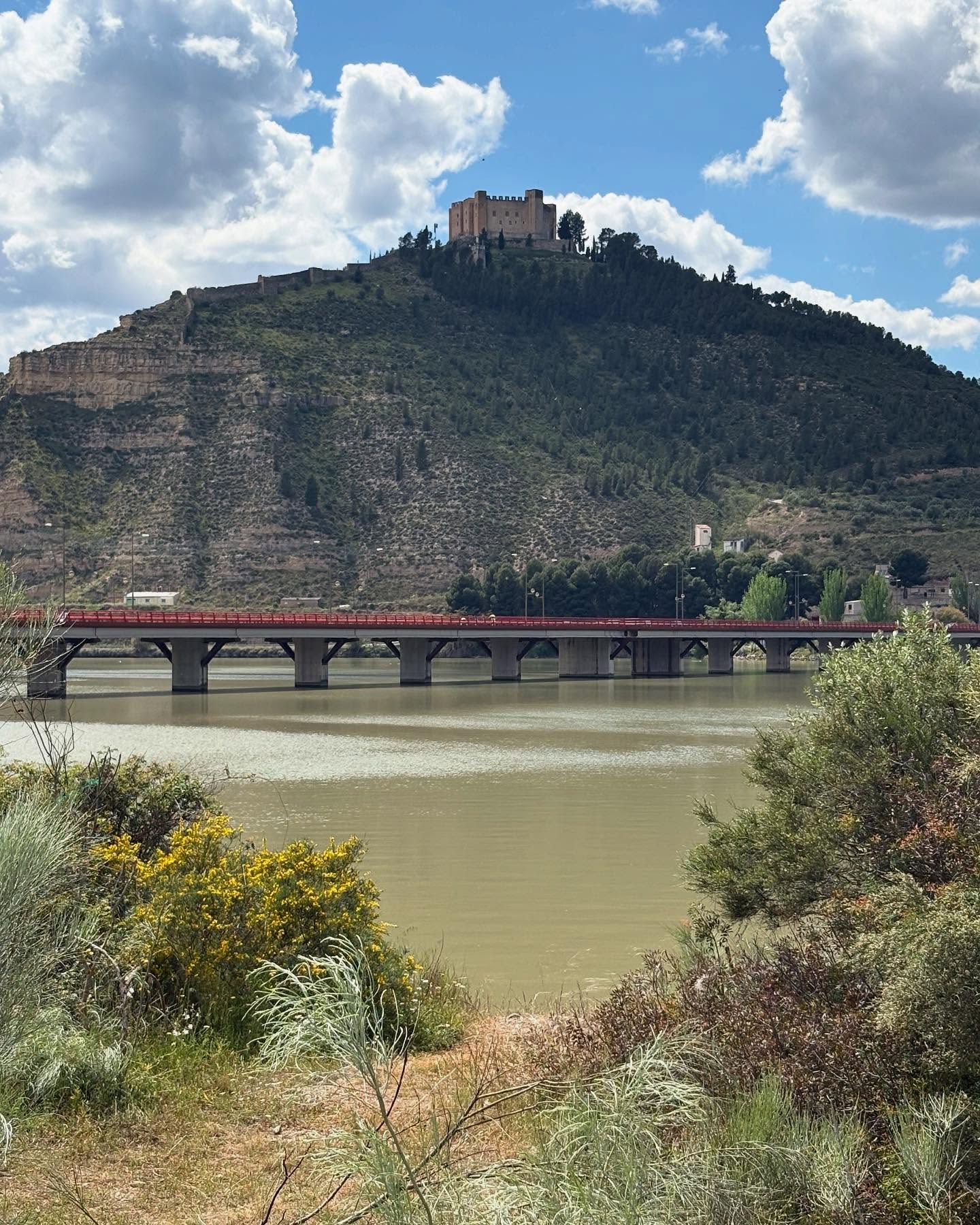 Dag 21 - 18504602962051264.jpg