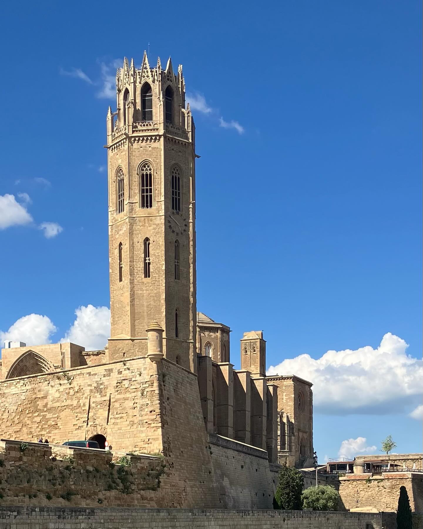 Dag 22 - 18055709855222816.jpg