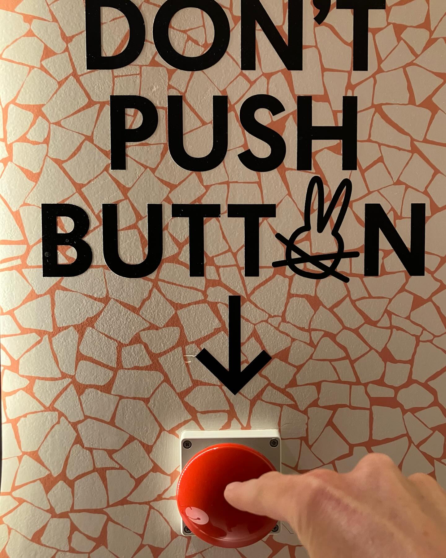 Dag 24 - 18065267683992349.jpg