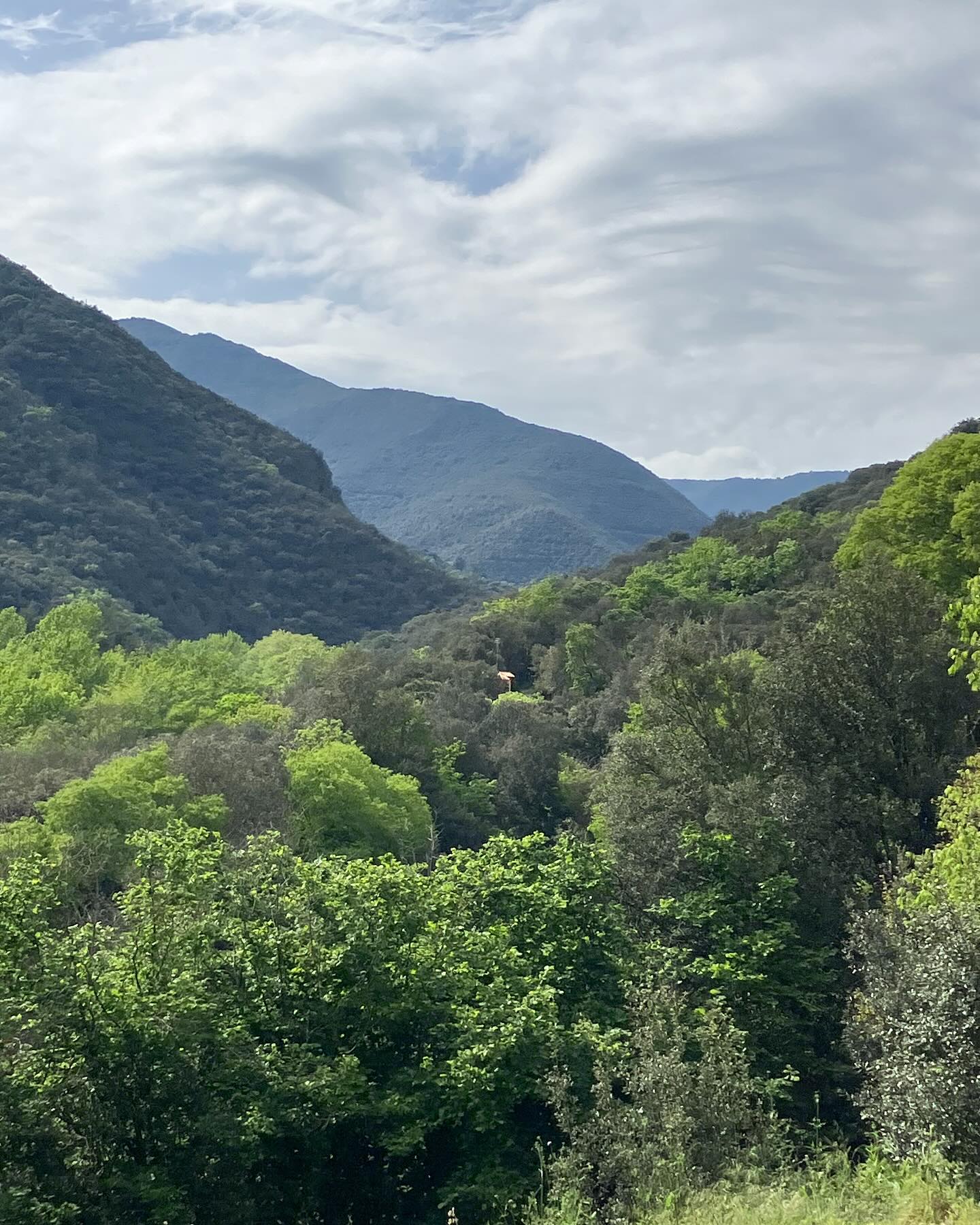 Dag 25 - 17910011784108745.jpg