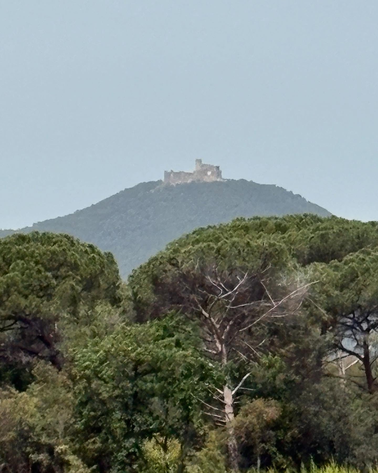 Dag 26 - 18100522006472344.jpg