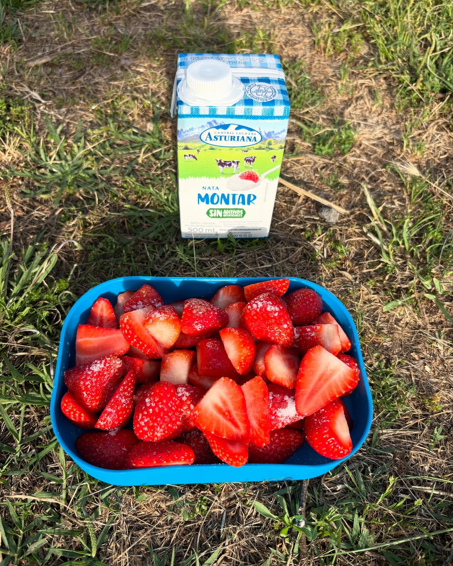 Dag 26 - 18121426597450413.jpg