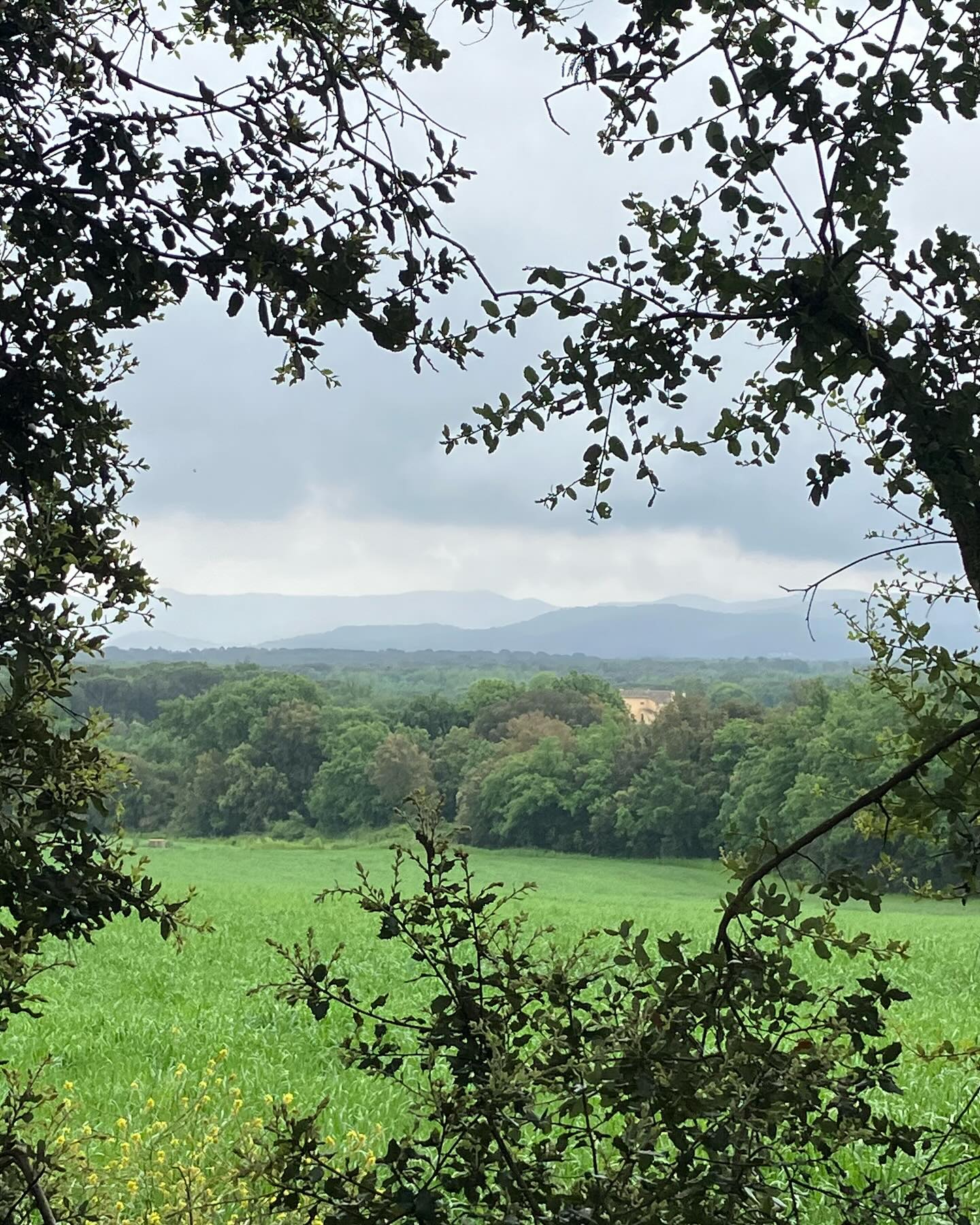 Dag 27 - 17952979205812357.jpg