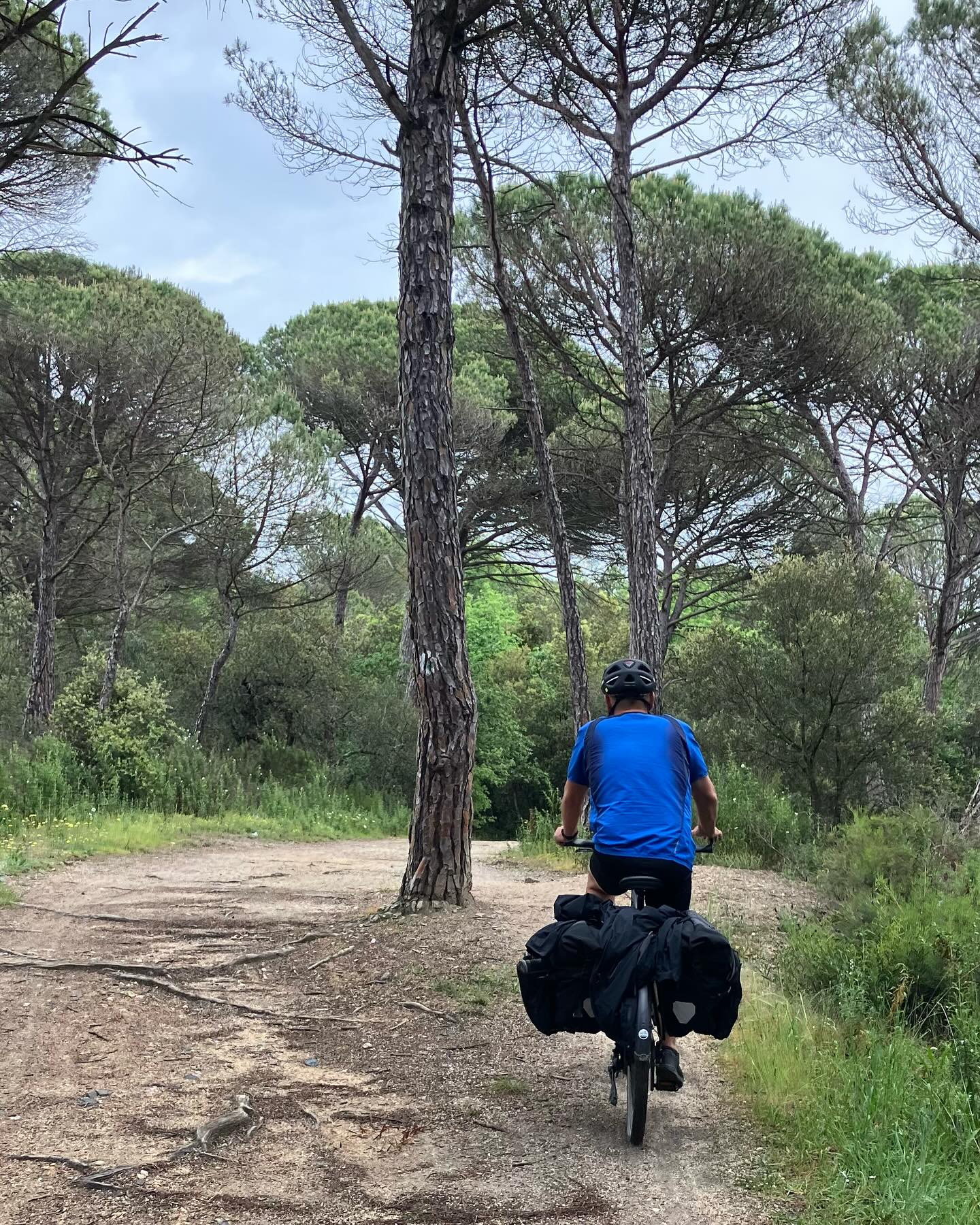 Dag 27 - 18089497111620717.jpg