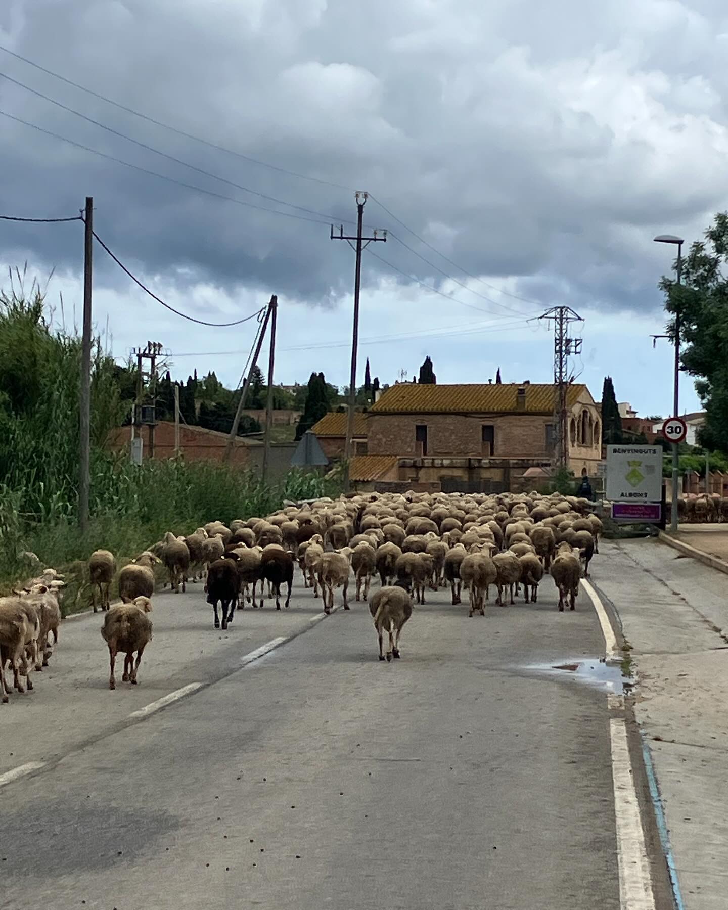 Dag 28 - 18278401567253016.jpg