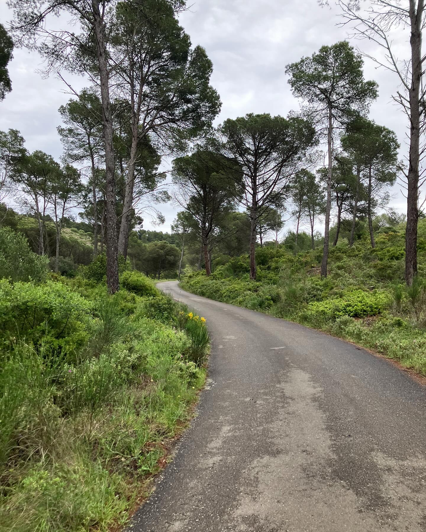 Dag 29 - 17962040051776071.jpg