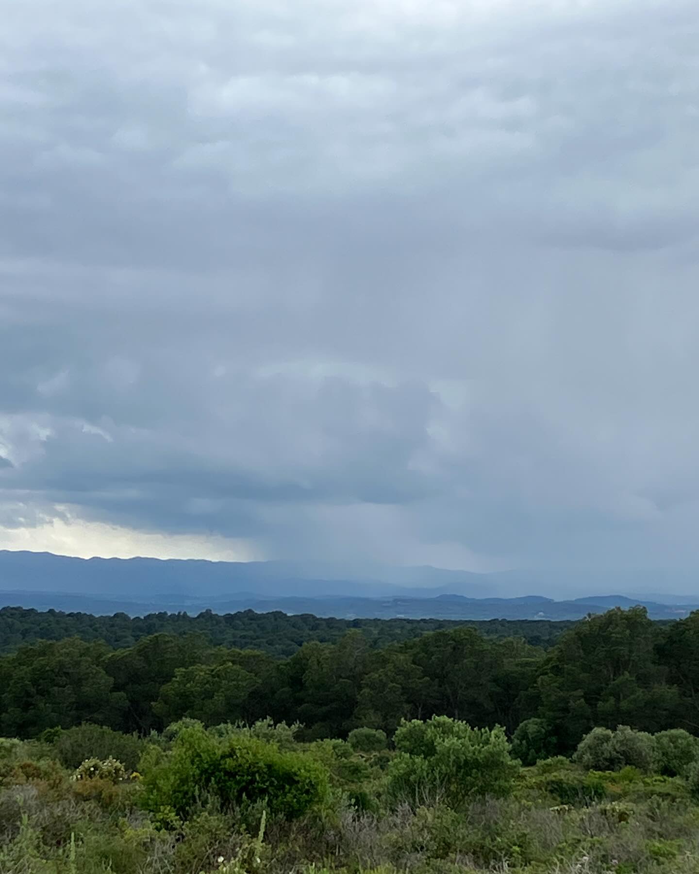 Dag 29 - 17992756913641875.jpg