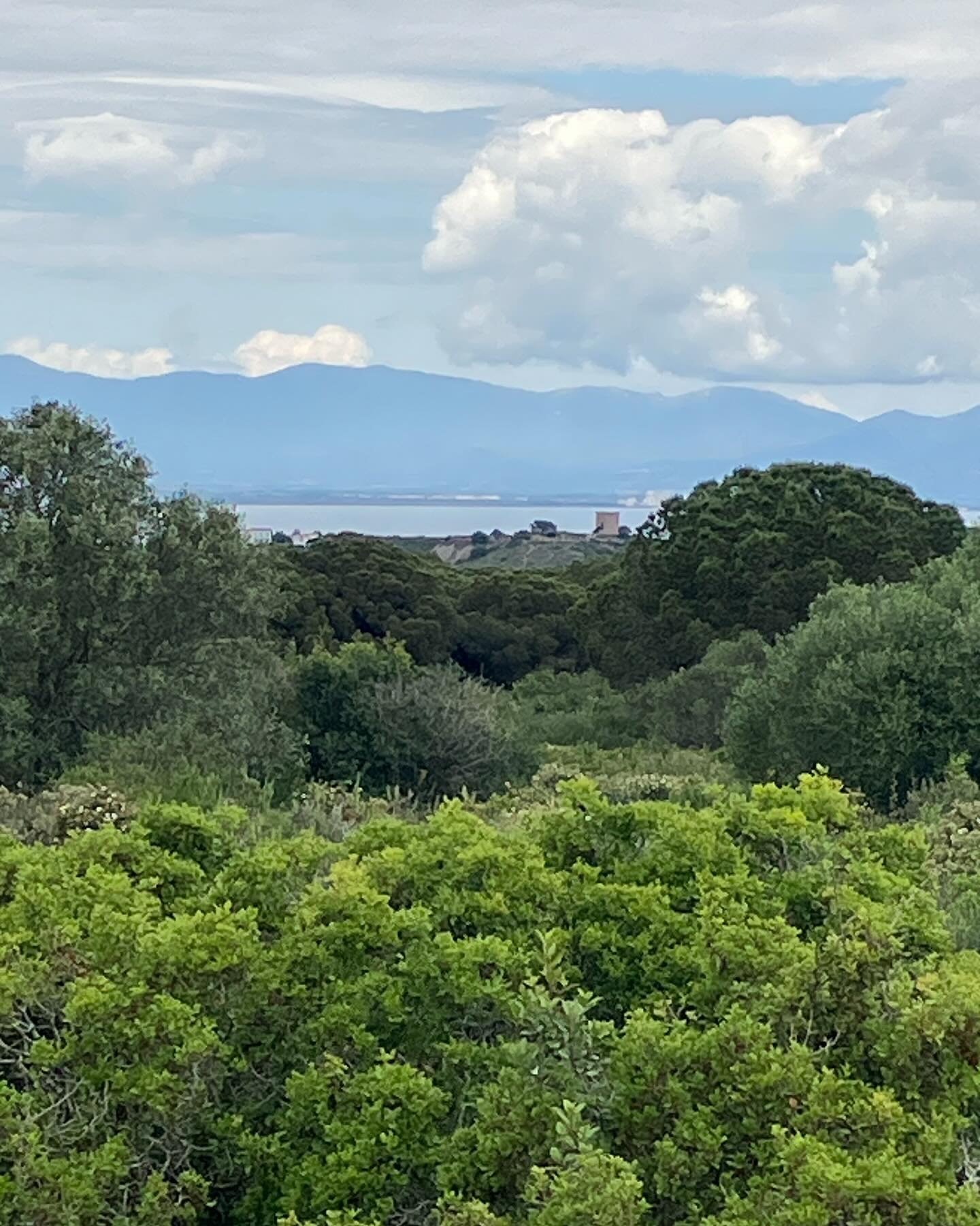 Dag 29 - 18046564412592628.jpg