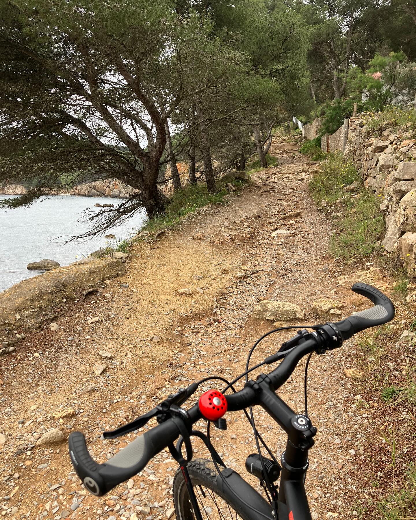 Dag 29 - 18060725849472797.jpg