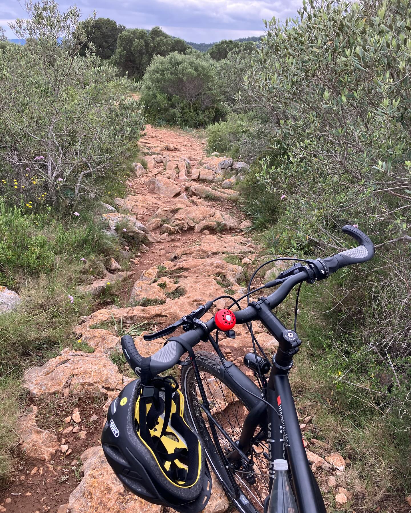 Dag 29 - 18084332851632329.jpg