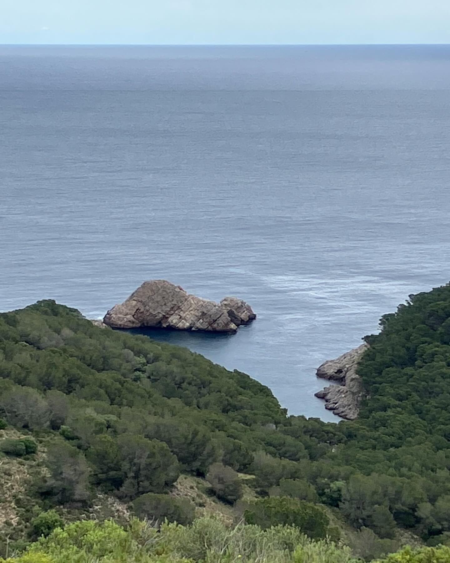 Dag 29 - 18086611435652238.jpg