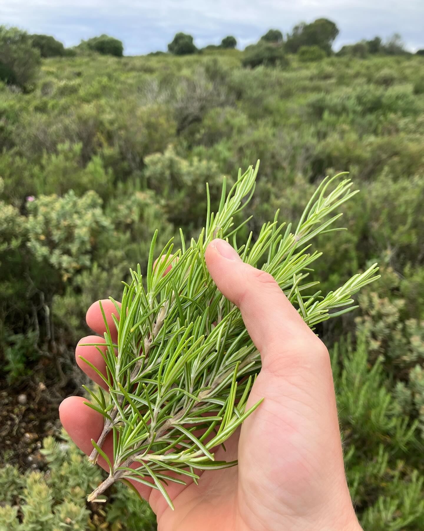 Dag 29 - 18114582709467593.jpg