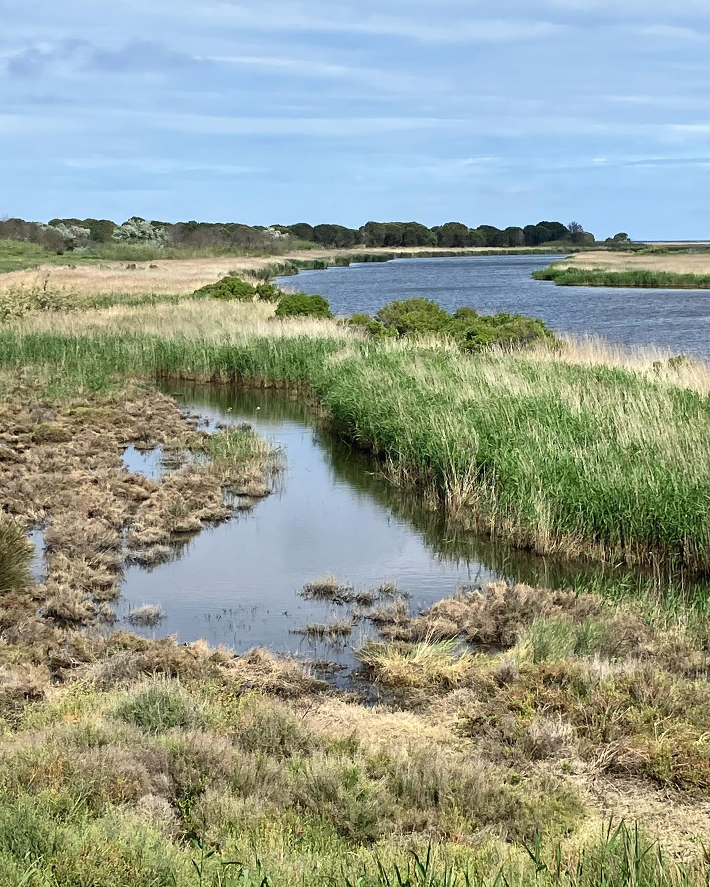 Dag 32 - 17878284957304093.jpg